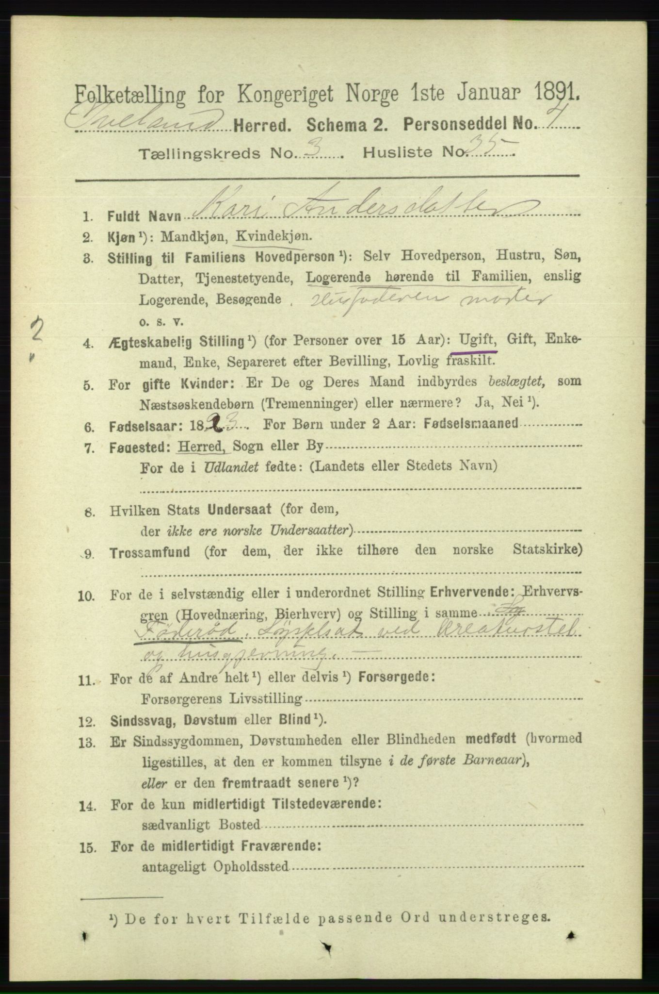 RA, 1891 census for 0935 Iveland, 1891, p. 970