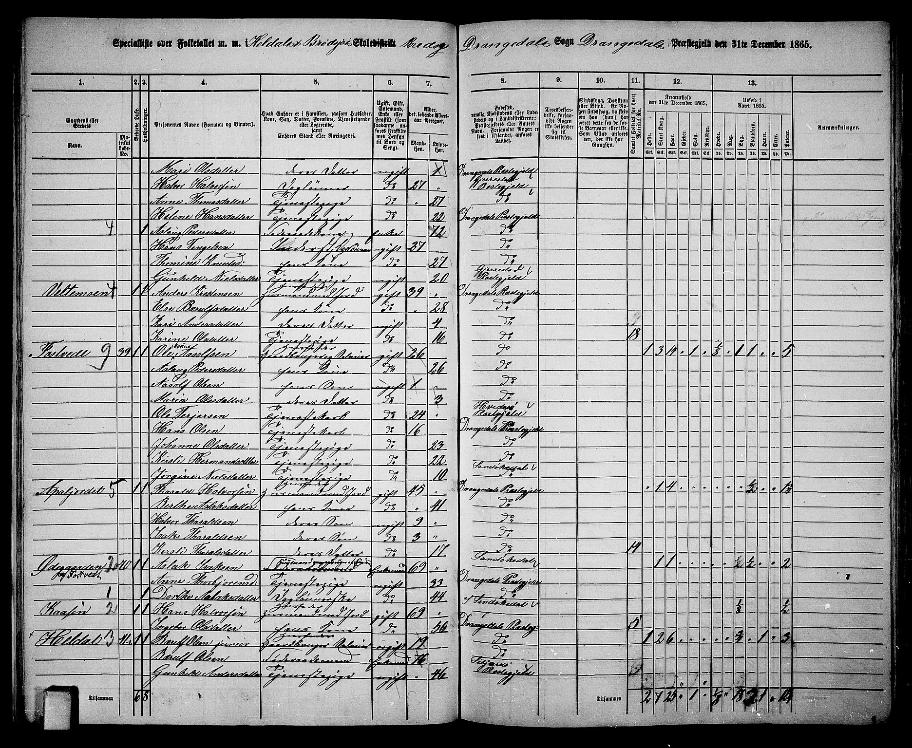 RA, 1865 census for Drangedal, 1865, p. 21