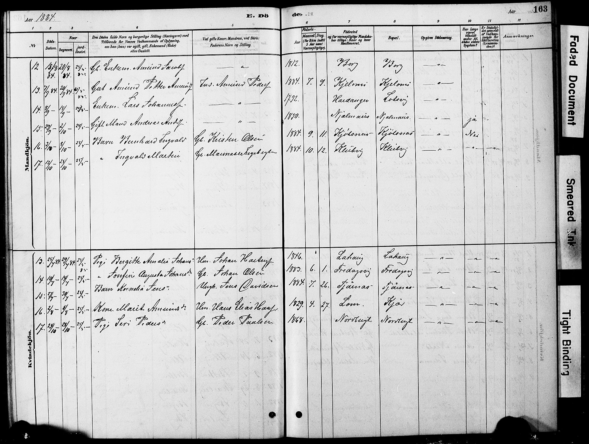 Ministerialprotokoller, klokkerbøker og fødselsregistre - Nordland, AV/SAT-A-1459/861/L0875: Parish register (copy) no. 861C01, 1879-1887, p. 163