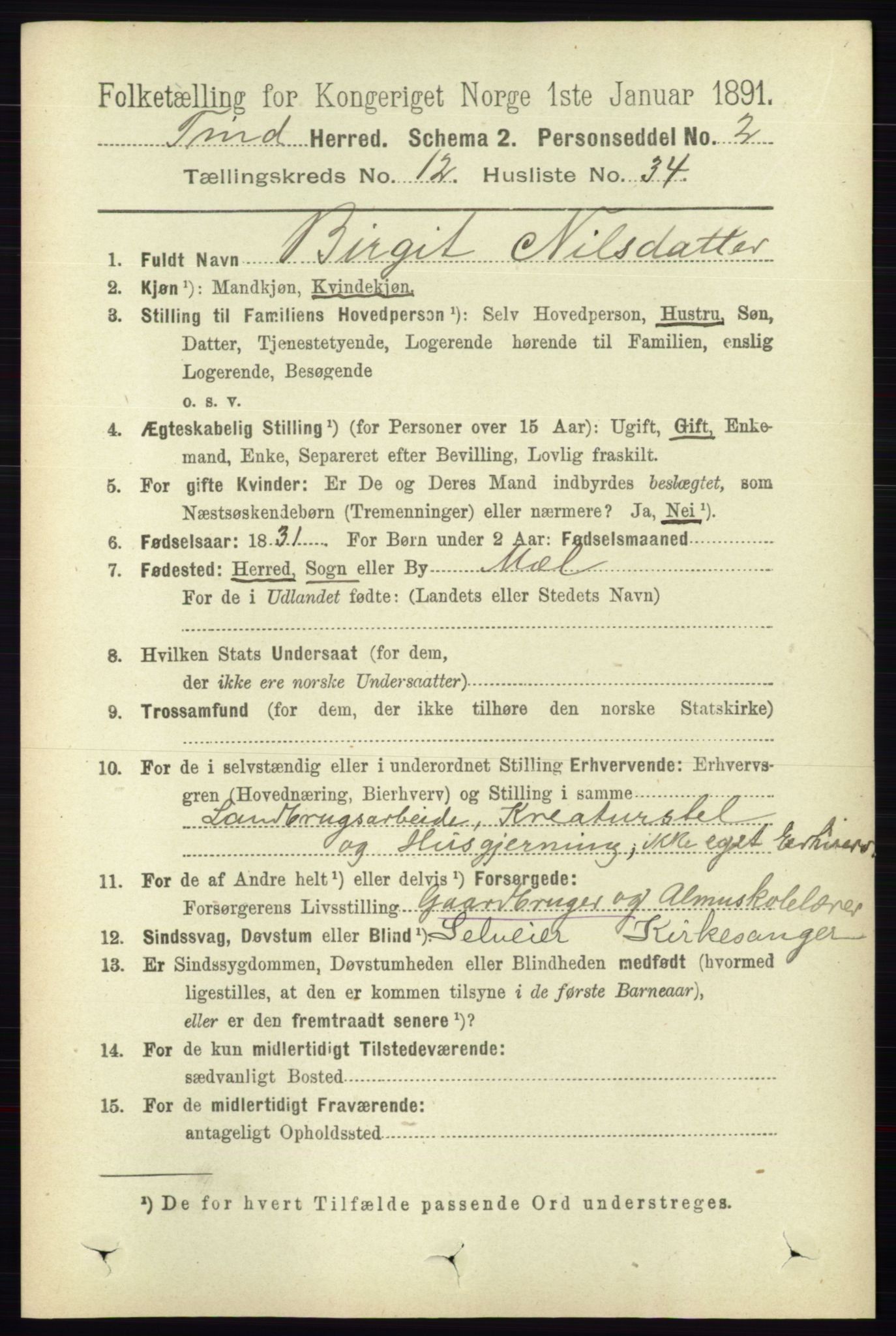 RA, 1891 census for 0826 Tinn, 1891, p. 2509