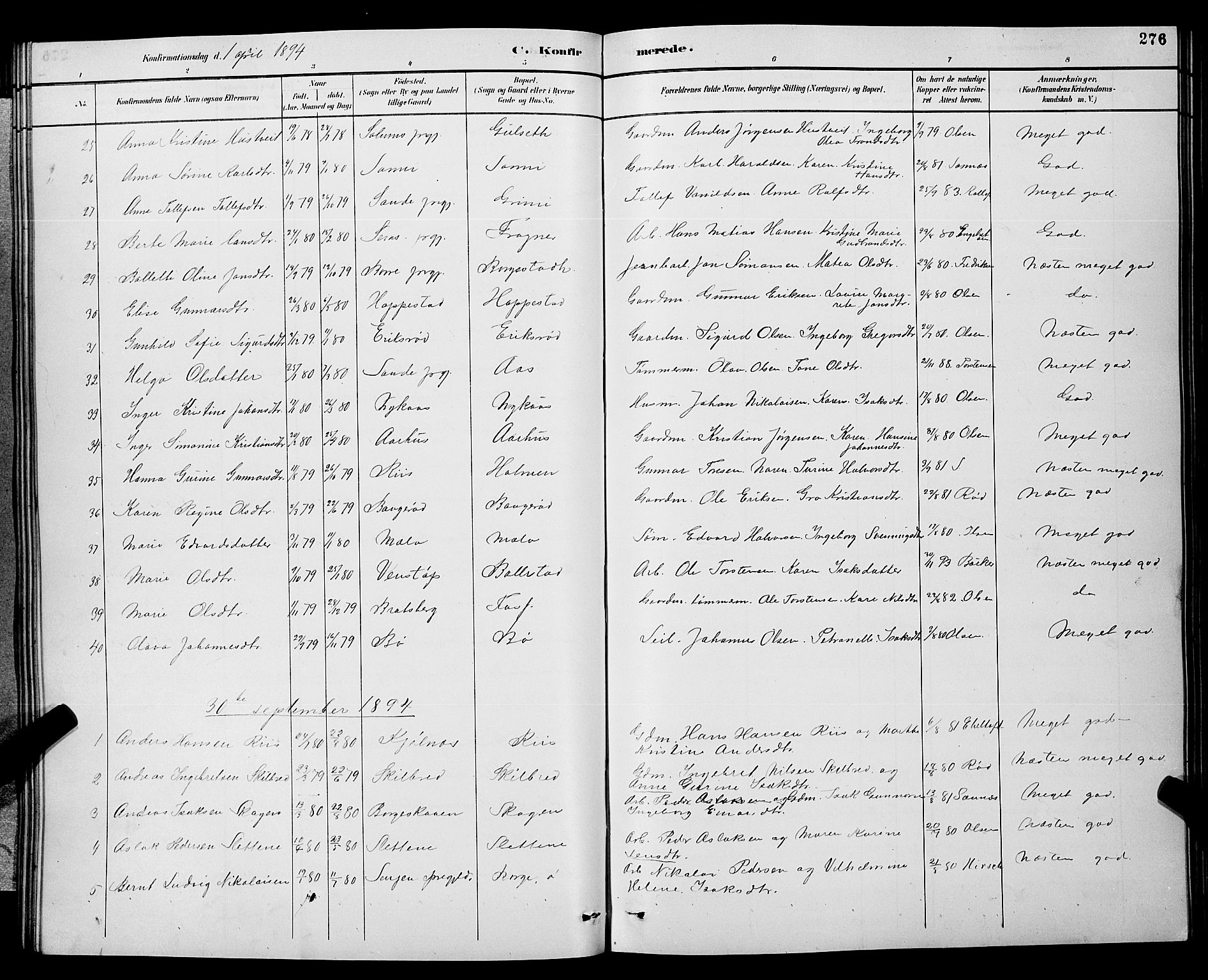 Gjerpen kirkebøker, SAKO/A-265/G/Ga/L0002: Parish register (copy) no. I 2, 1883-1900, p. 276