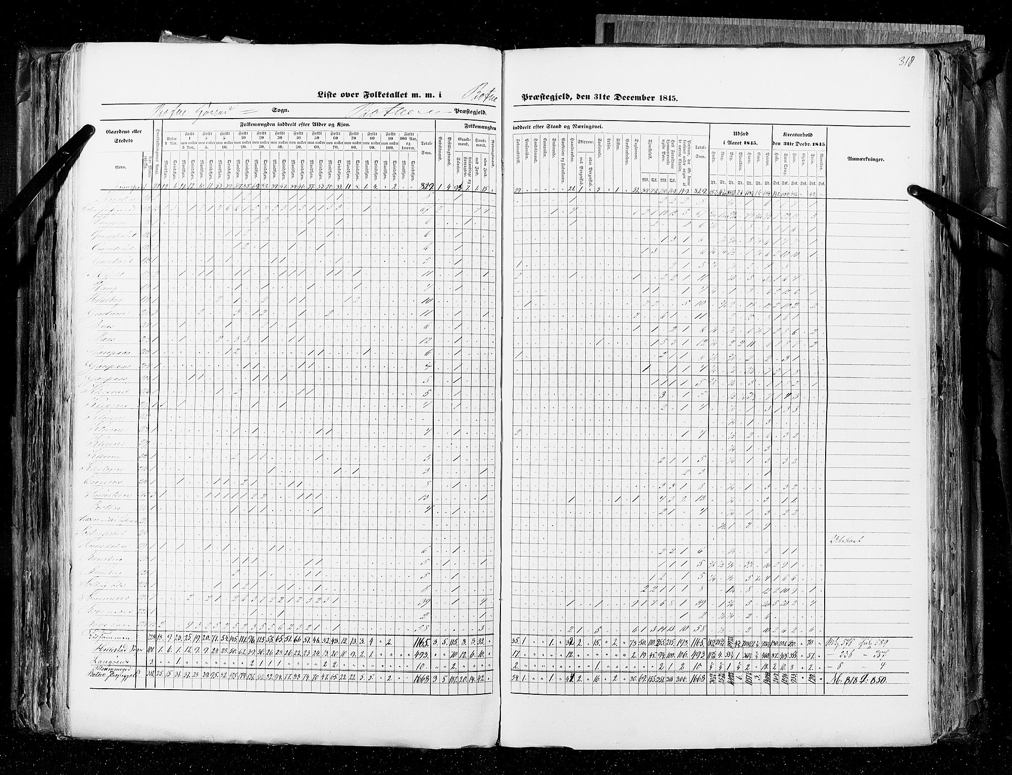 RA, Census 1845, vol. 4: Buskerud amt og Jarlsberg og Larvik amt, 1845, p. 318