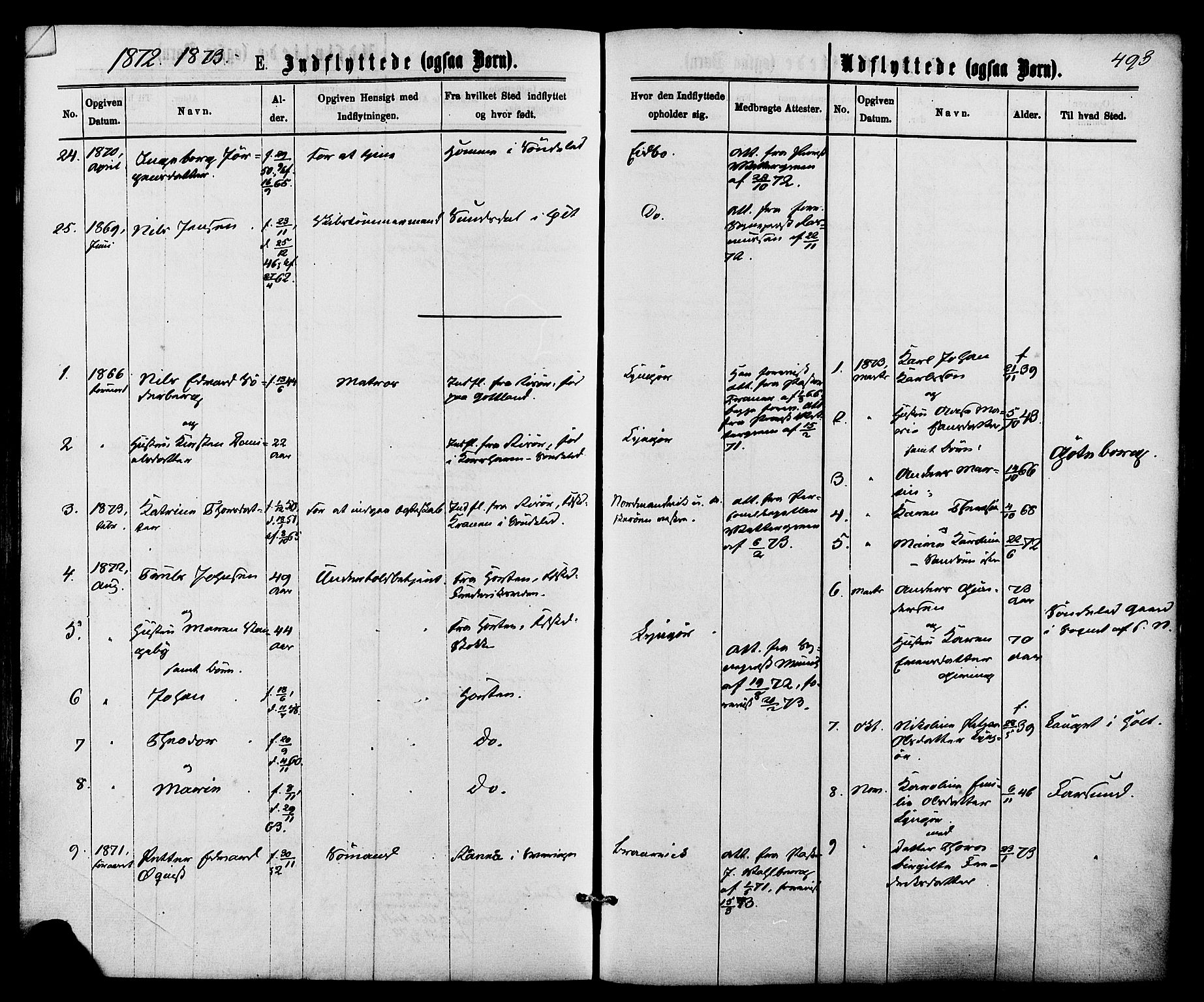 Dypvåg sokneprestkontor, SAK/1111-0007/F/Fa/Faa/L0007: Parish register (official) no. A 7/ 1, 1872-1884, p. 493