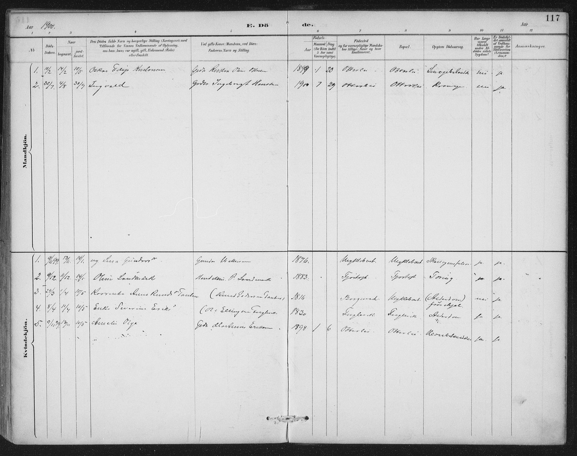 Ministerialprotokoller, klokkerbøker og fødselsregistre - Møre og Romsdal, SAT/A-1454/538/L0522: Parish register (official) no. 538A01, 1884-1913, p. 117