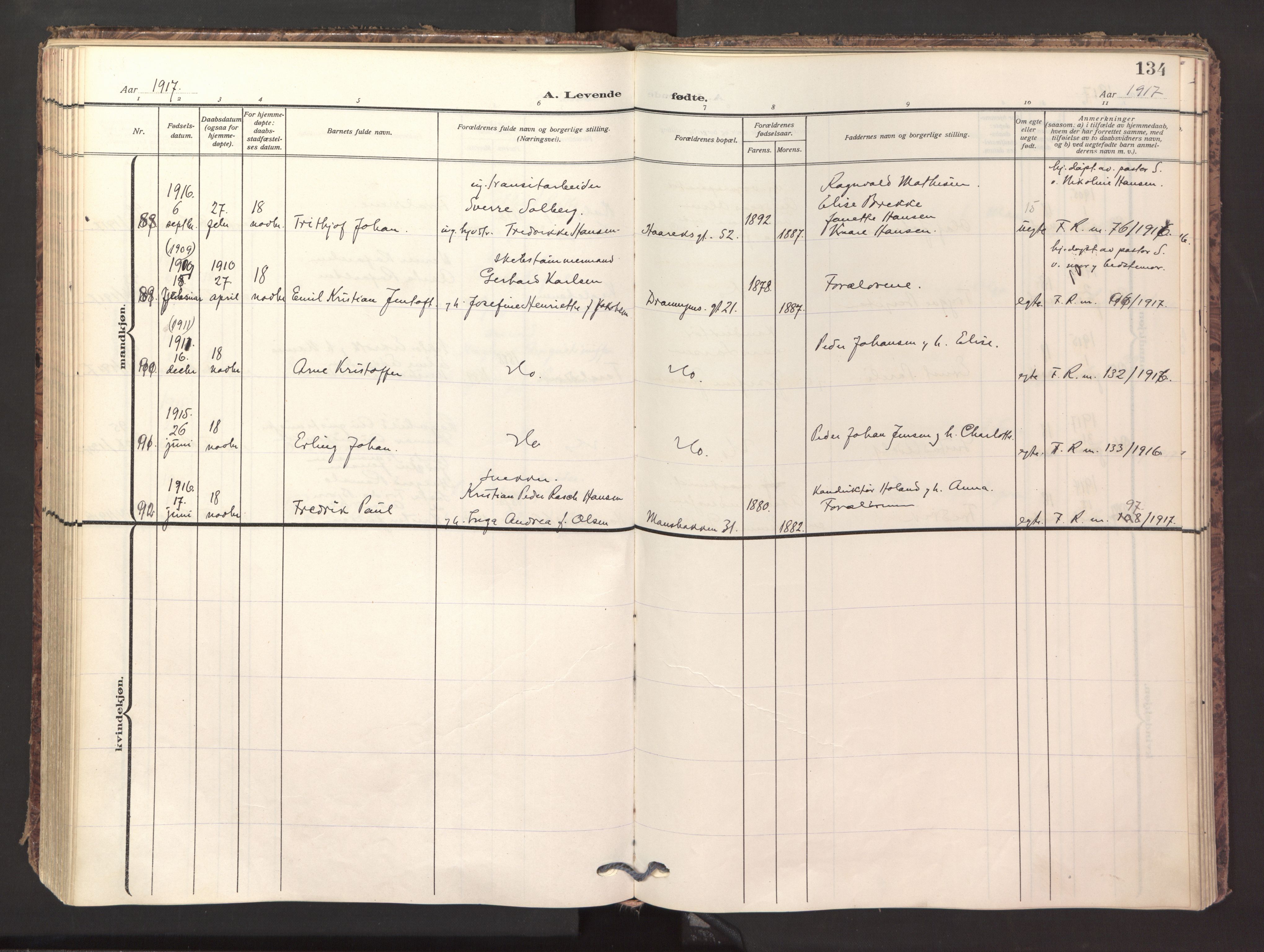 Ministerialprotokoller, klokkerbøker og fødselsregistre - Nordland, SAT/A-1459/871/L1001: Parish register (official) no. 871A17, 1911-1921, p. 134