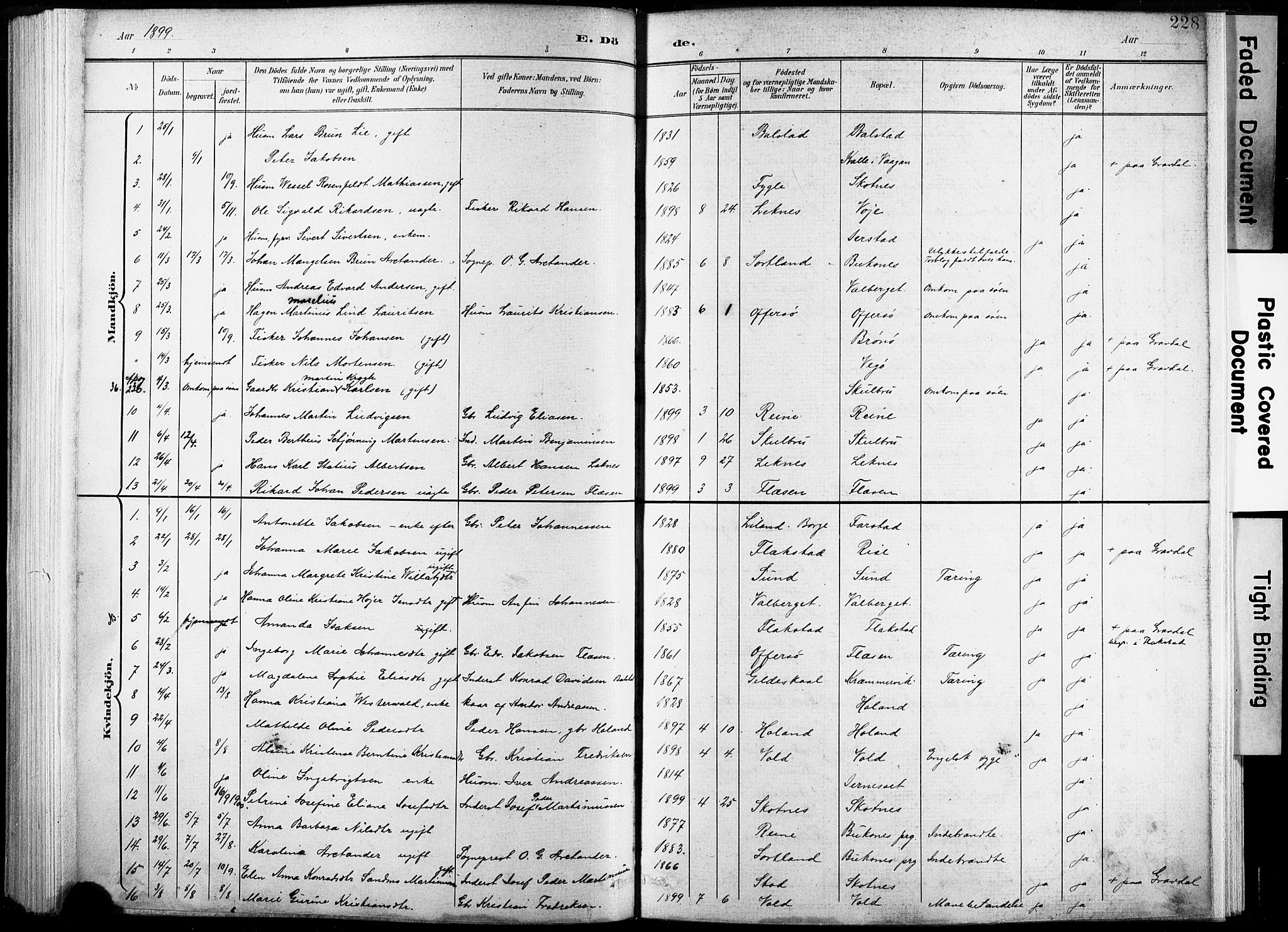 Ministerialprotokoller, klokkerbøker og fødselsregistre - Nordland, AV/SAT-A-1459/881/L1151: Parish register (official) no. 881A04, 1899-1907, p. 228