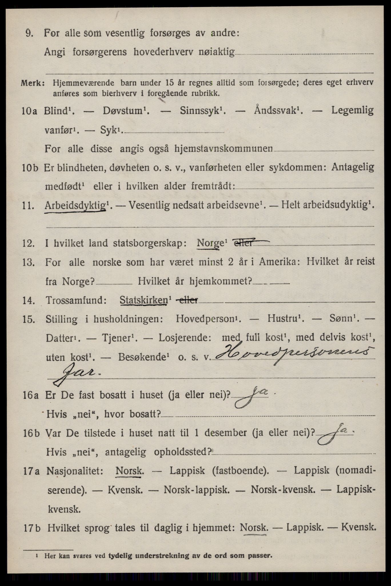 SAT, 1920 census for Røros, 1920, p. 11315