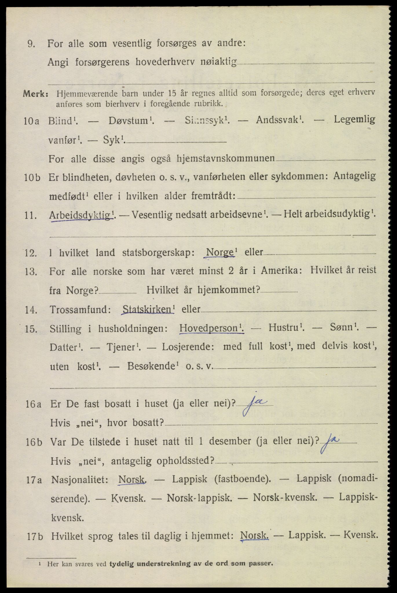 SAH, 1920 census for Åsnes, 1920, p. 12197