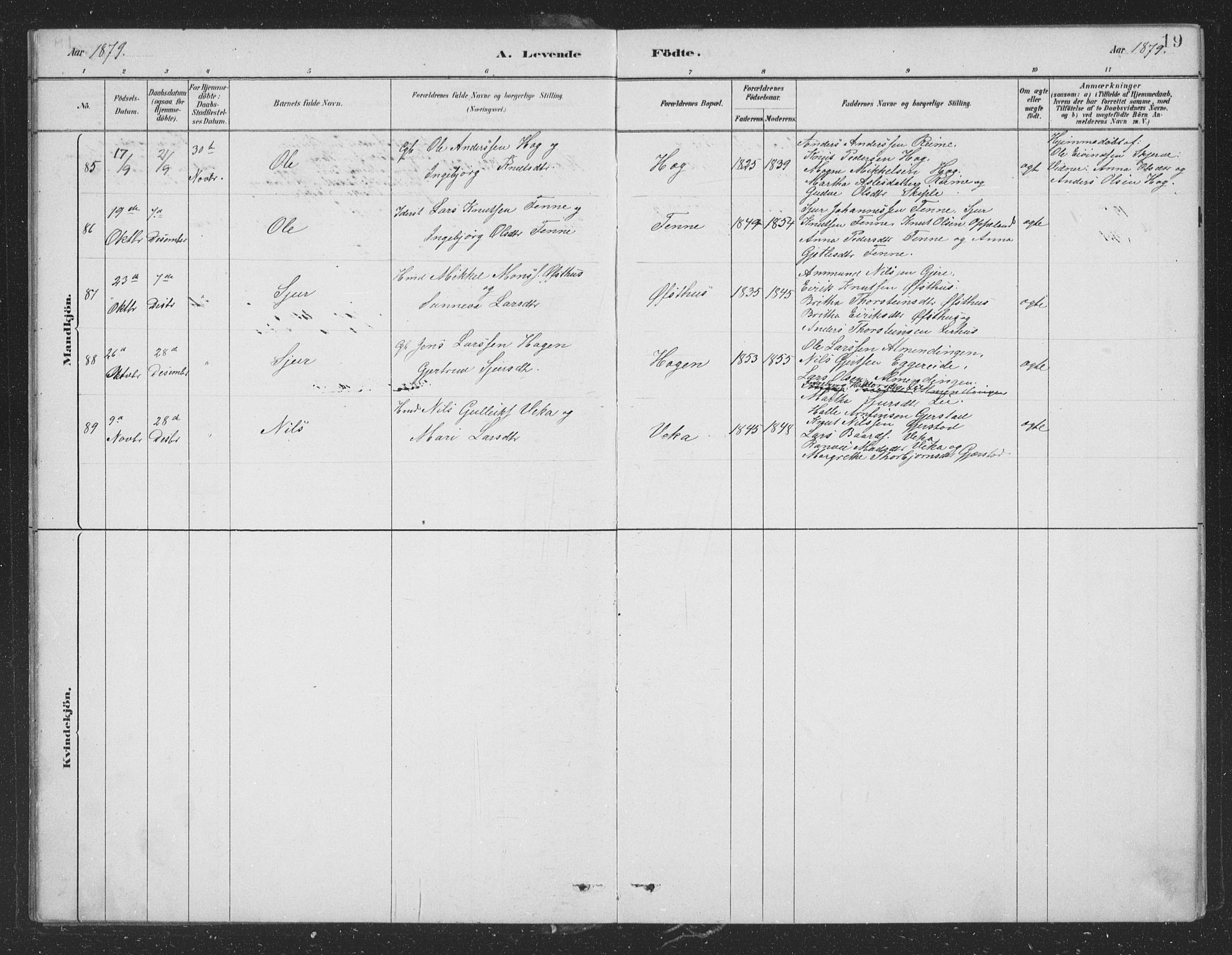 Voss sokneprestembete, AV/SAB-A-79001/H/Hab: Parish register (copy) no. B 3, 1879-1894, p. 19