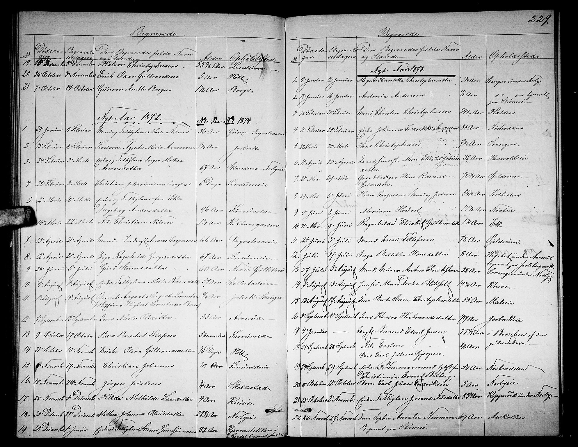 Skoger kirkebøker, AV/SAKO-A-59/G/Ga/L0002: Parish register (copy) no. I 2, 1860-1880, p. 229