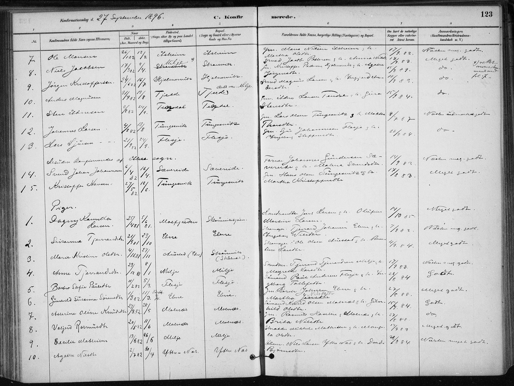 Skånevik sokneprestembete, AV/SAB-A-77801/H/Haa: Parish register (official) no. B 1, 1879-1914, p. 123