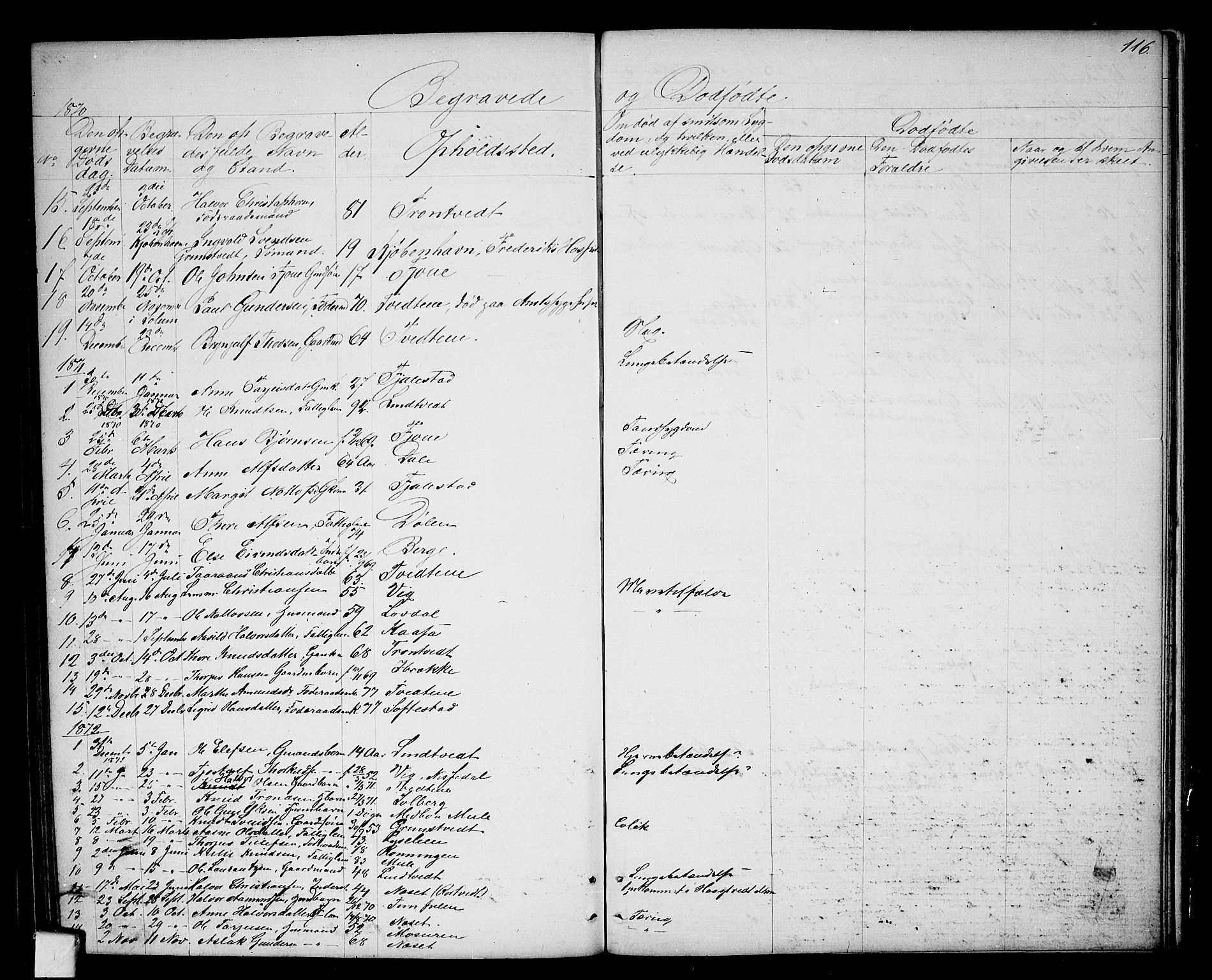 Nissedal kirkebøker, SAKO/A-288/G/Ga/L0002: Parish register (copy) no. I 2, 1861-1887, p. 116