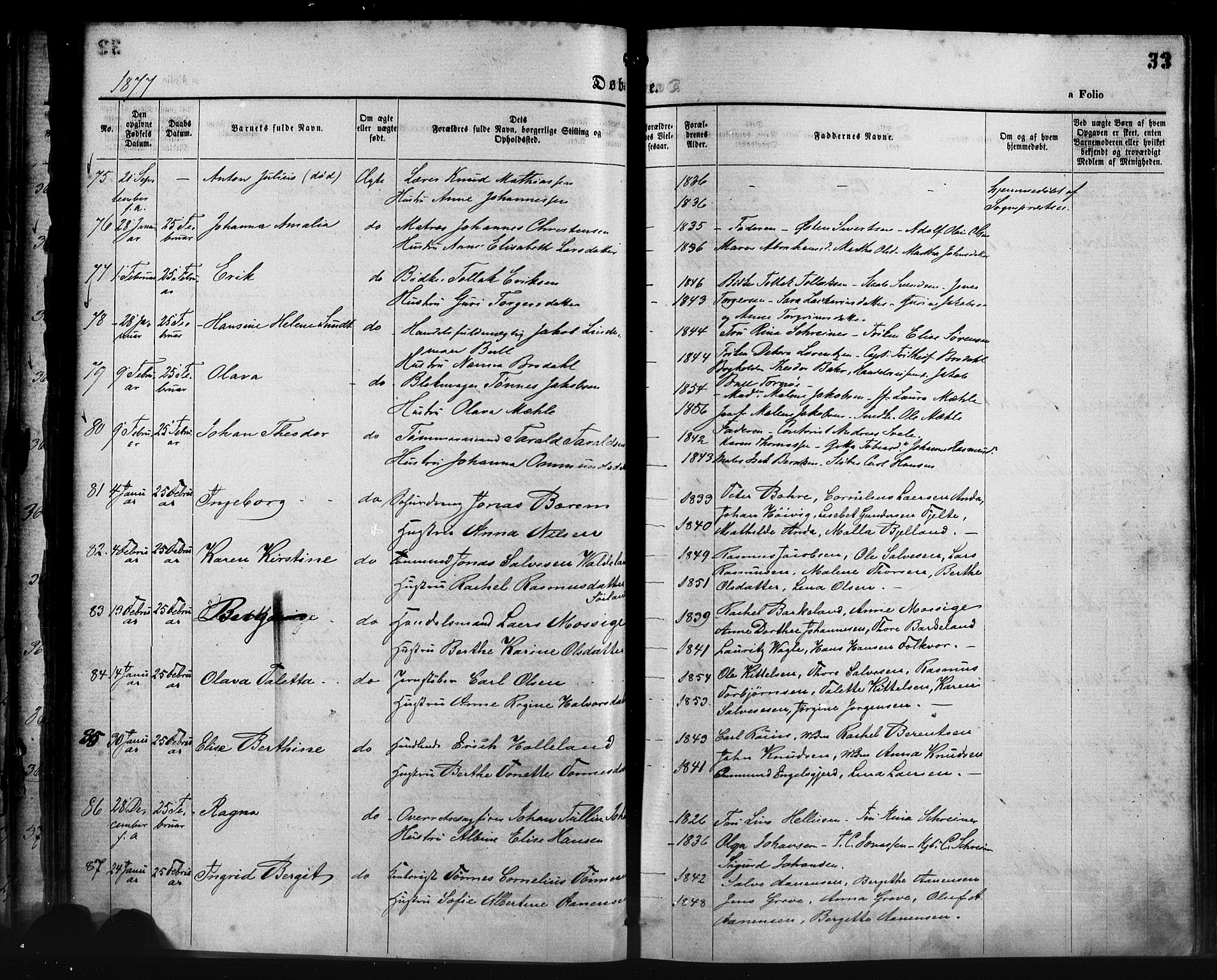 St. Petri sokneprestkontor, AV/SAST-A-101813/001/30/30BA/L0014: Parish register (official) no. A 14, 1876-1879, p. 33