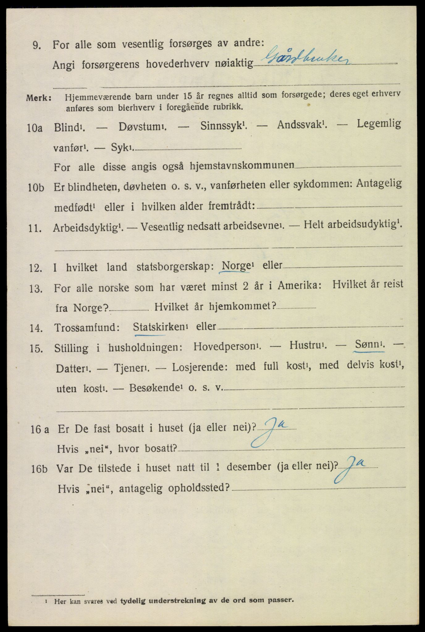 SAH, 1920 census for Elverum, 1920, p. 20913