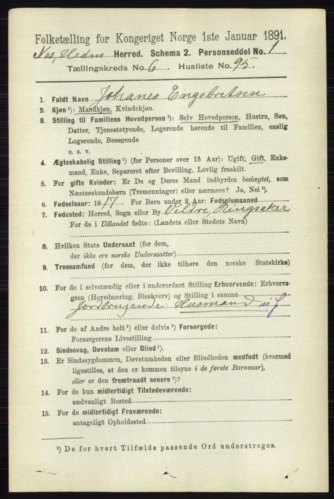 RA, 1891 census for 0411 Nes, 1891, p. 3822