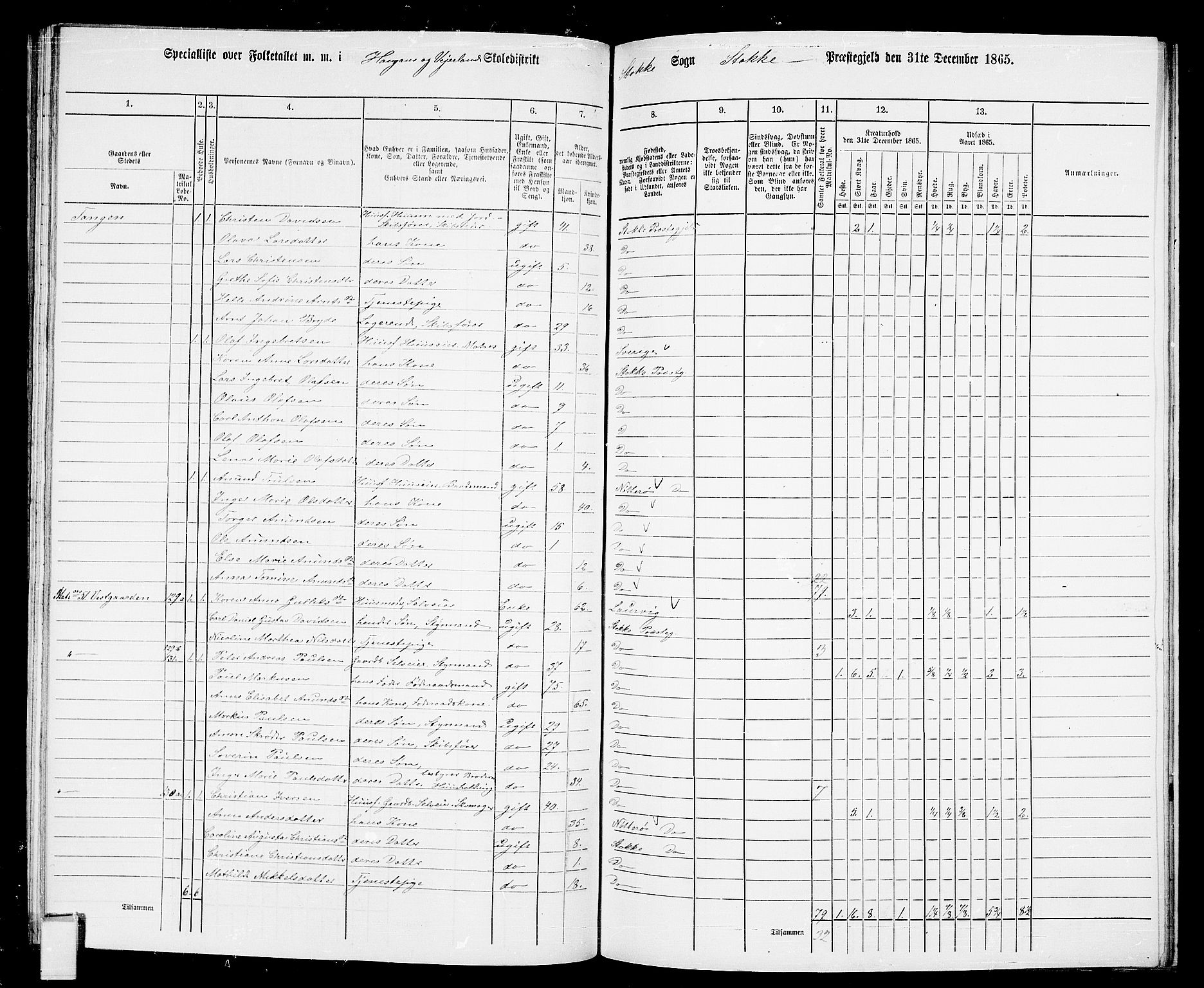 RA, 1865 census for Stokke, 1865, p. 102