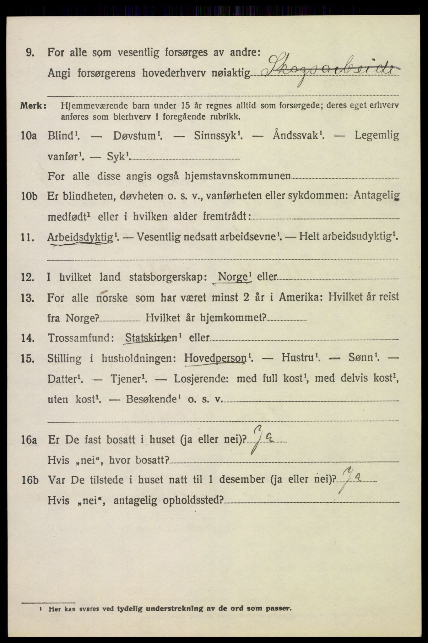 SAH, 1920 census for Sør-Odal, 1920, p. 5018