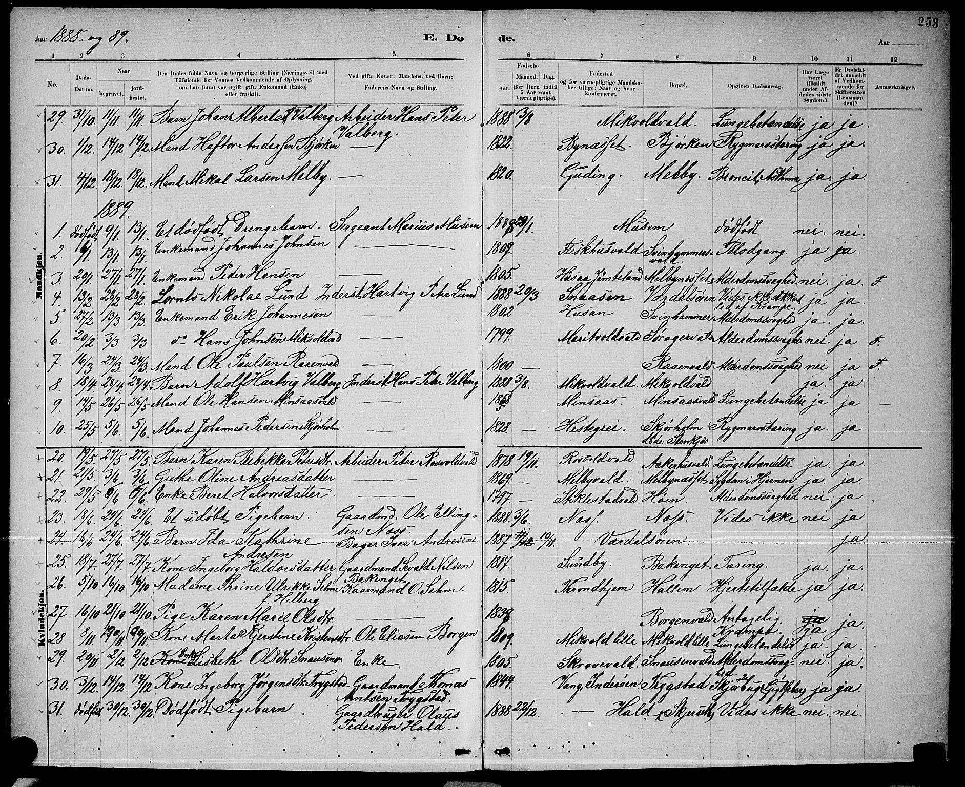 Ministerialprotokoller, klokkerbøker og fødselsregistre - Nord-Trøndelag, SAT/A-1458/723/L0256: Parish register (copy) no. 723C04, 1879-1890, p. 253