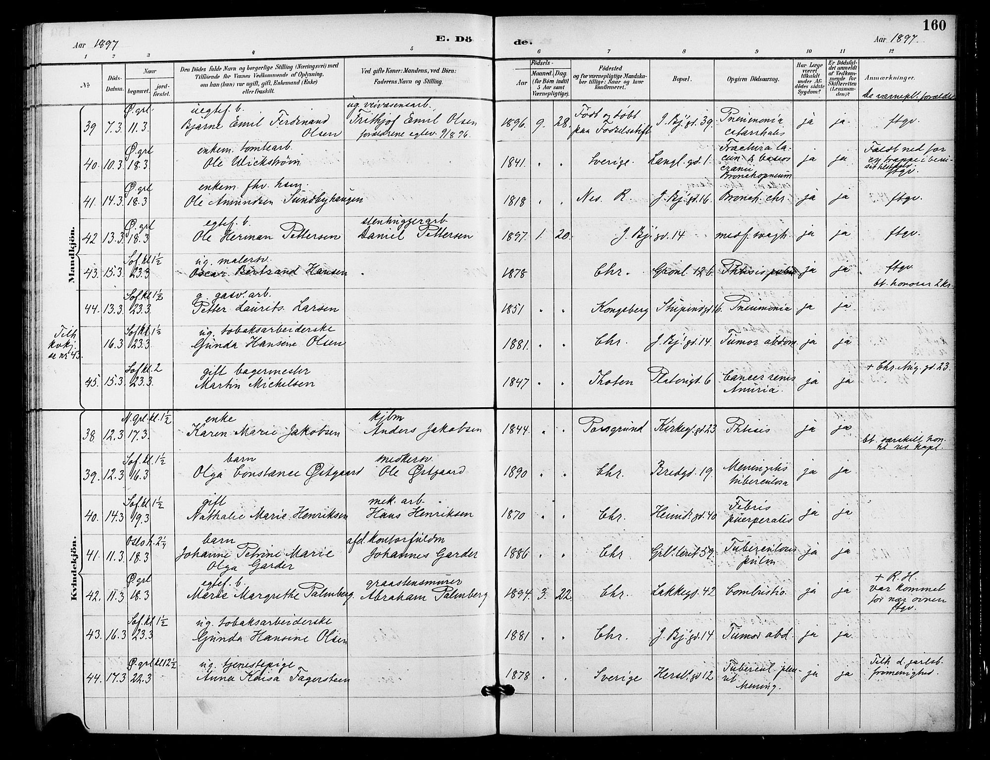 Grønland prestekontor Kirkebøker, SAO/A-10848/F/Fa/L0010: Parish register (official) no. 10, 1891-1898, p. 160