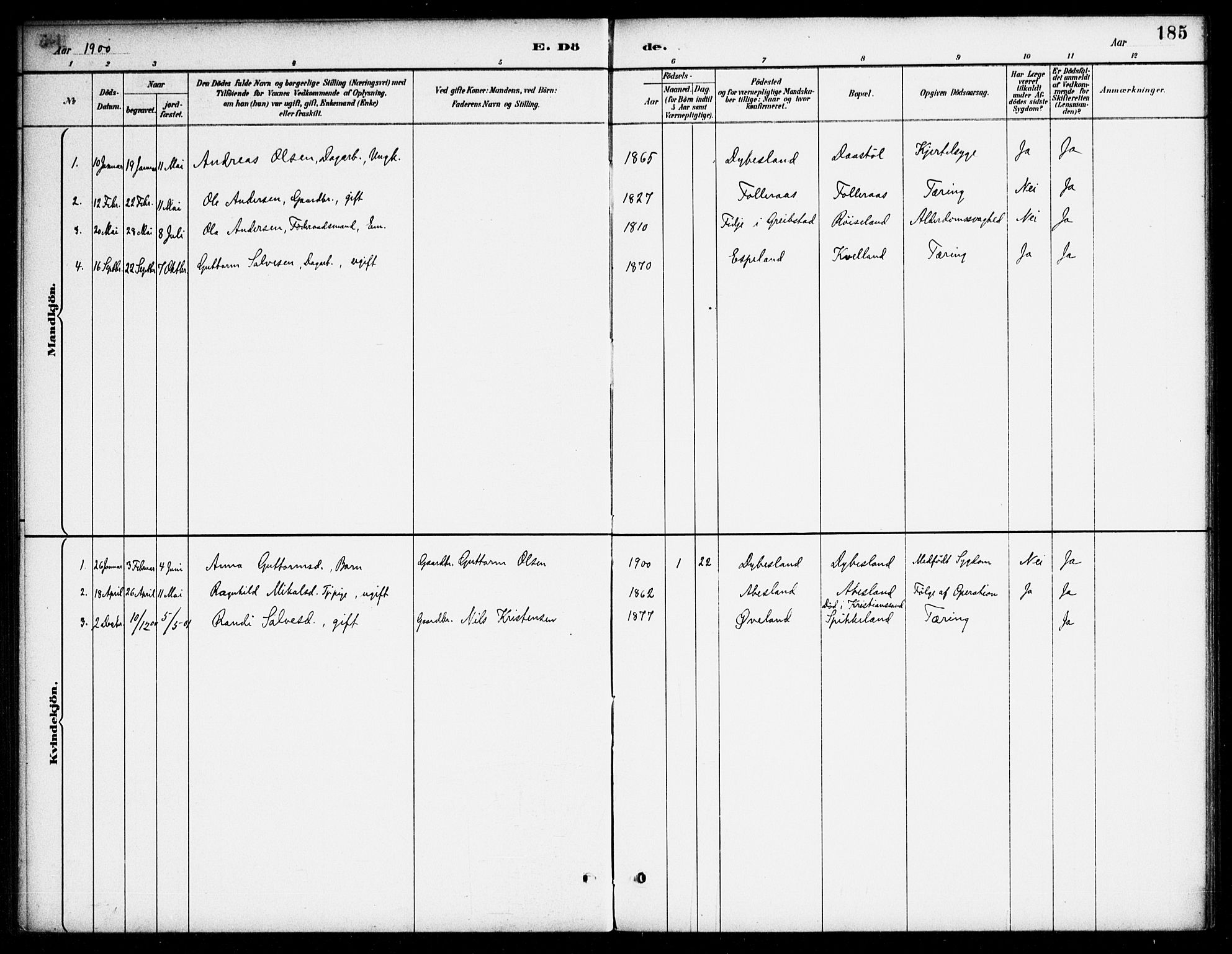 Bjelland sokneprestkontor, AV/SAK-1111-0005/F/Fa/Fab/L0004: Parish register (official) no. A 4, 1887-1920, p. 185