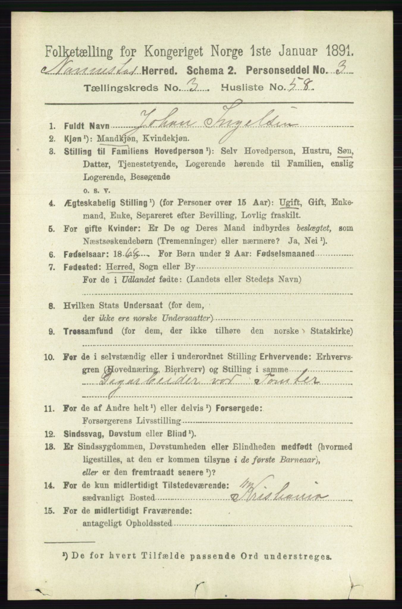 RA, 1891 census for 0238 Nannestad, 1891, p. 1810