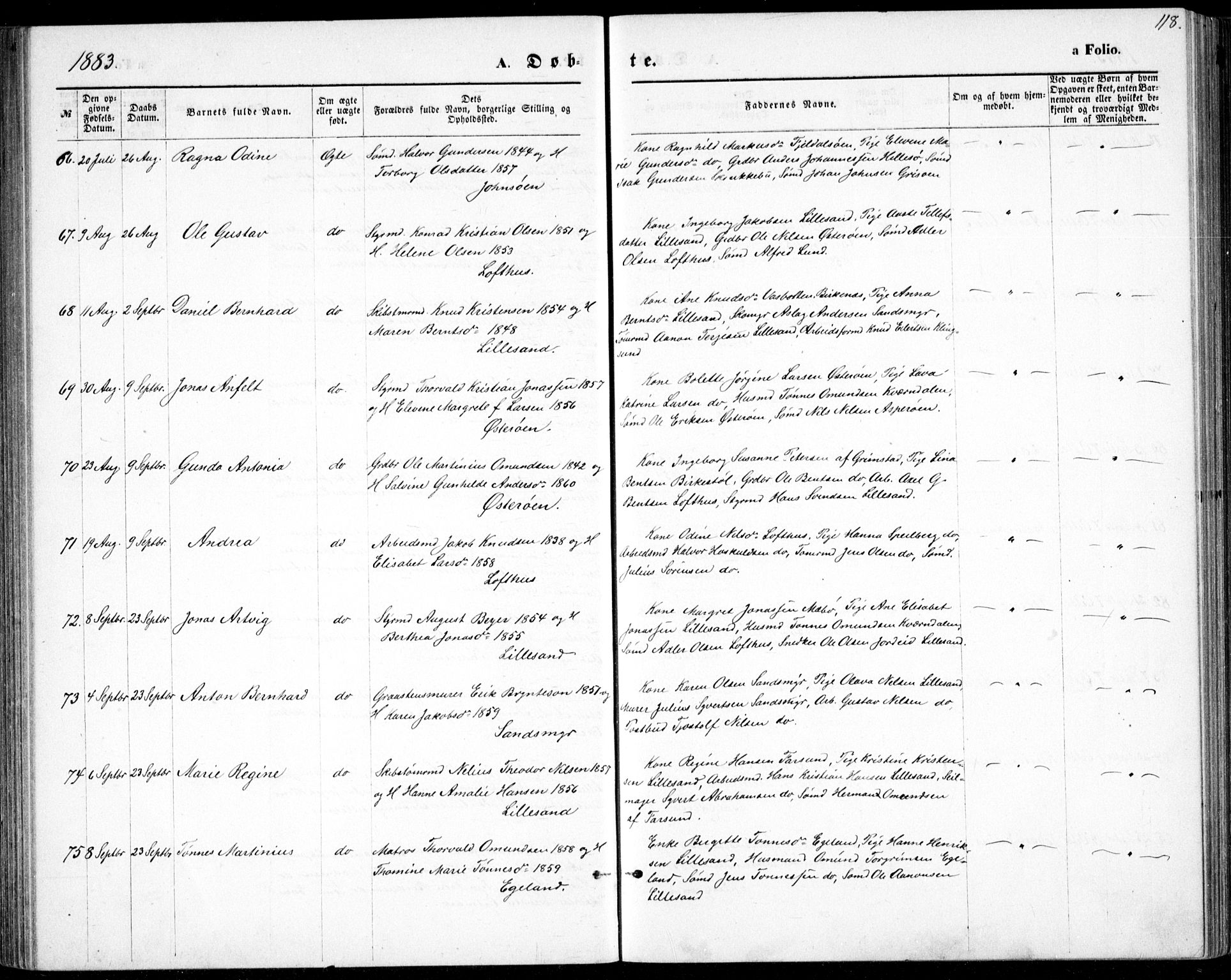 Vestre Moland sokneprestkontor, AV/SAK-1111-0046/F/Fb/Fbb/L0005: Parish register (copy) no. B 5, 1872-1883, p. 118