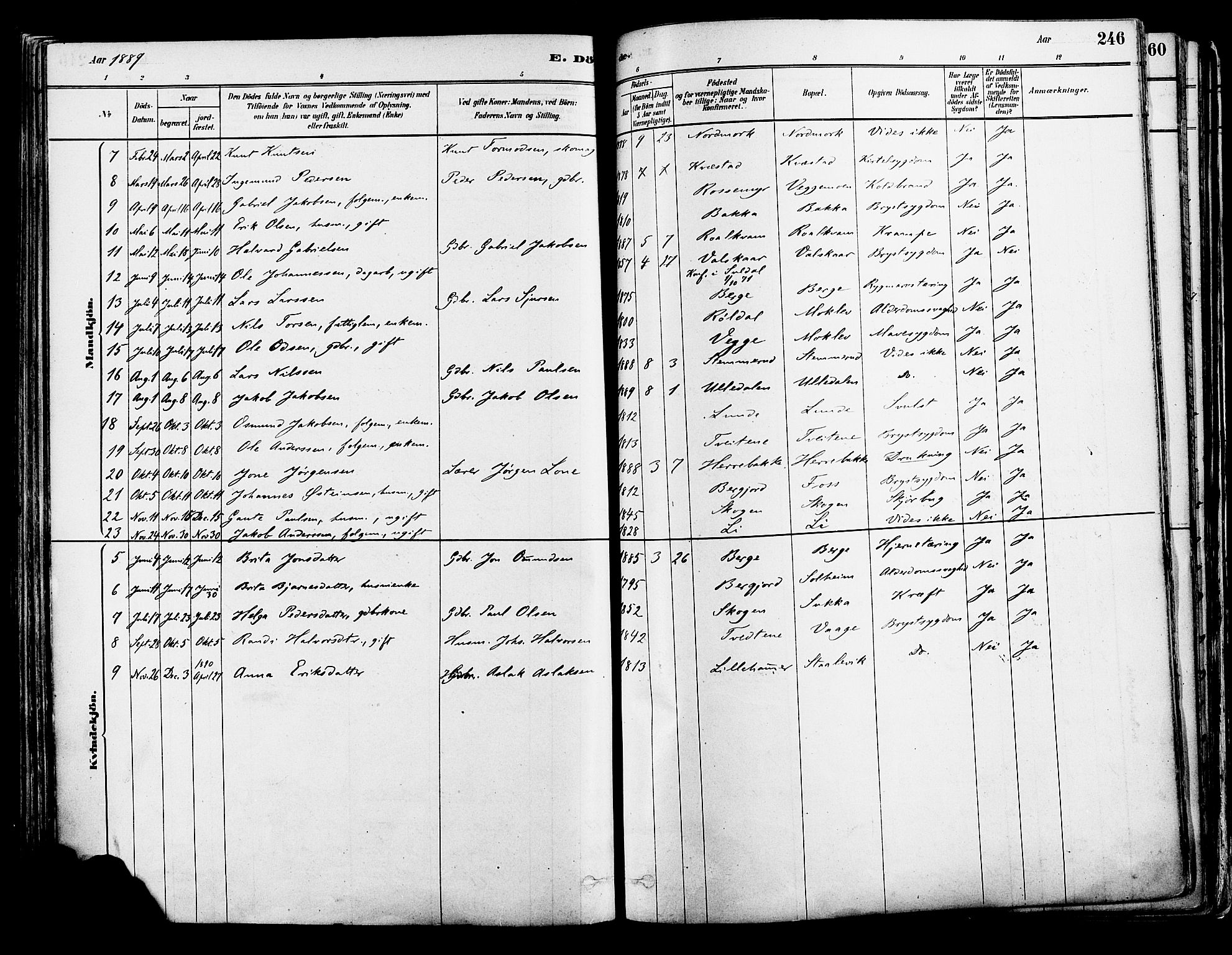 Suldal sokneprestkontor, AV/SAST-A-101845/01/IV/L0011: Parish register (official) no. A 11, 1878-1900, p. 246