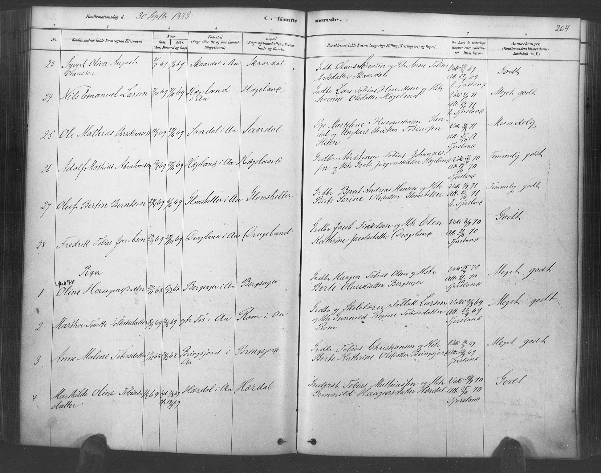 Lyngdal sokneprestkontor, AV/SAK-1111-0029/F/Fa/Fac/L0011: Parish register (official) no. A 11, 1878-1893, p. 204