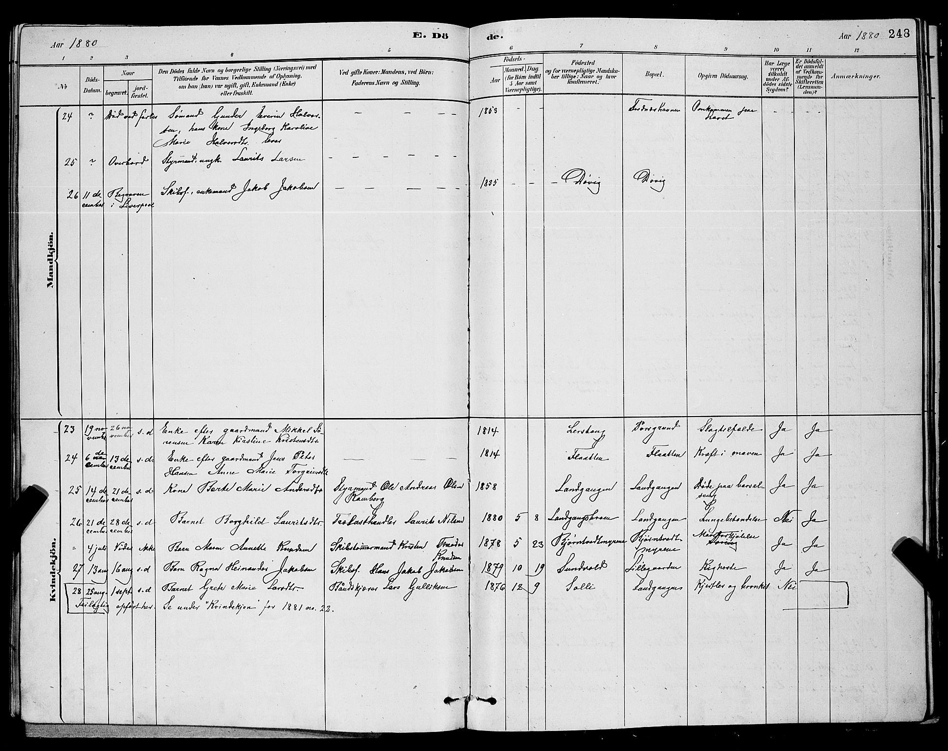 Eidanger kirkebøker, SAKO/A-261/G/Ga/L0002: Parish register (copy) no. 2, 1879-1892, p. 248