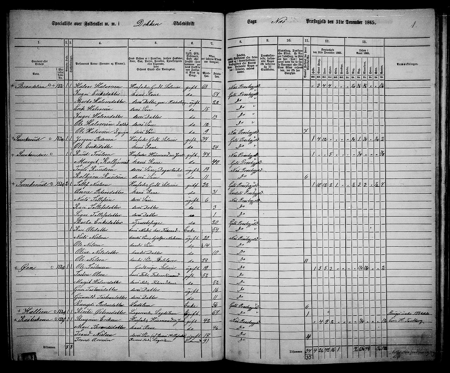 RA, 1865 census for Nes, 1865, p. 140