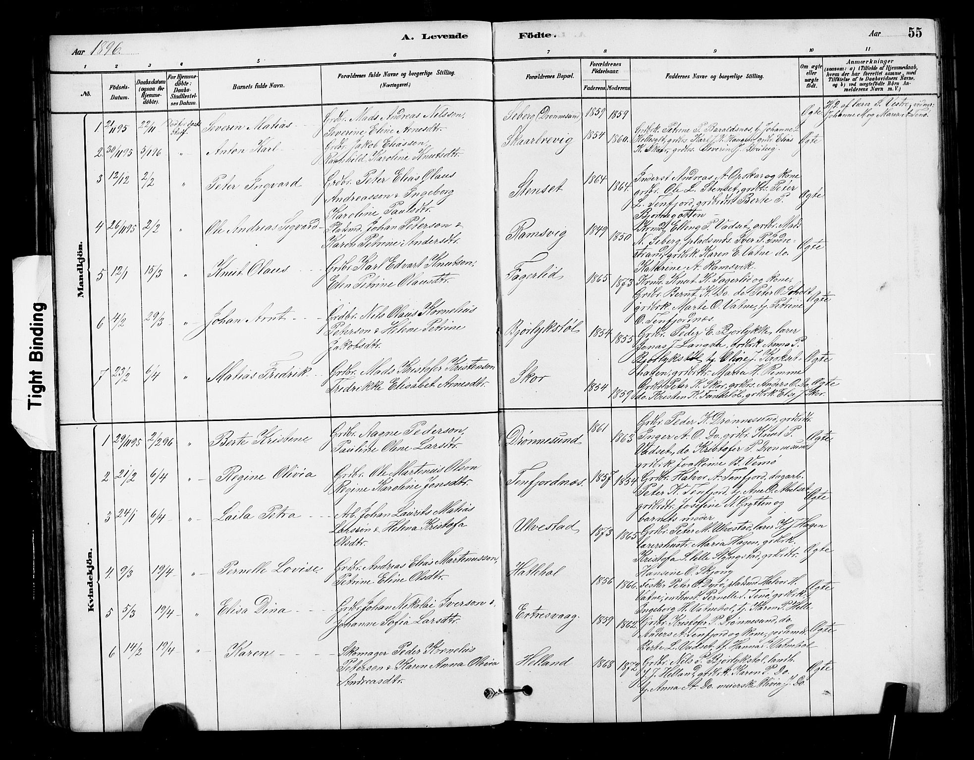 Ministerialprotokoller, klokkerbøker og fødselsregistre - Møre og Romsdal, AV/SAT-A-1454/525/L0376: Parish register (copy) no. 525C02, 1880-1902, p. 55