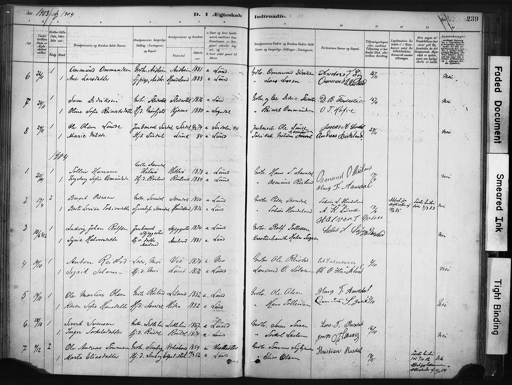 Lund sokneprestkontor, AV/SAST-A-101809/S06/L0011: Parish register (official) no. A 10, 1877-1904, p. 239