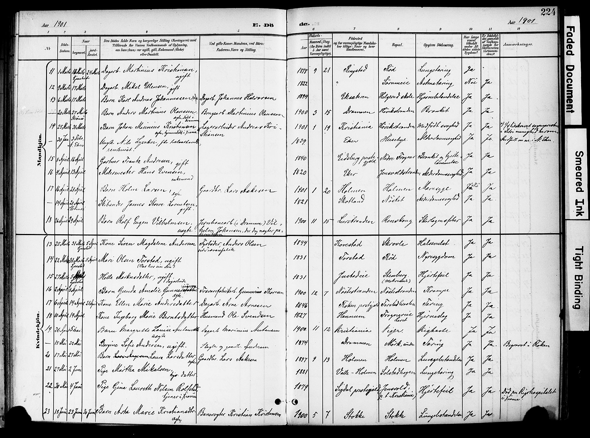 Lier kirkebøker, SAKO/A-230/F/Fa/L0017: Parish register (official) no. I 17, 1901-1908, p. 224