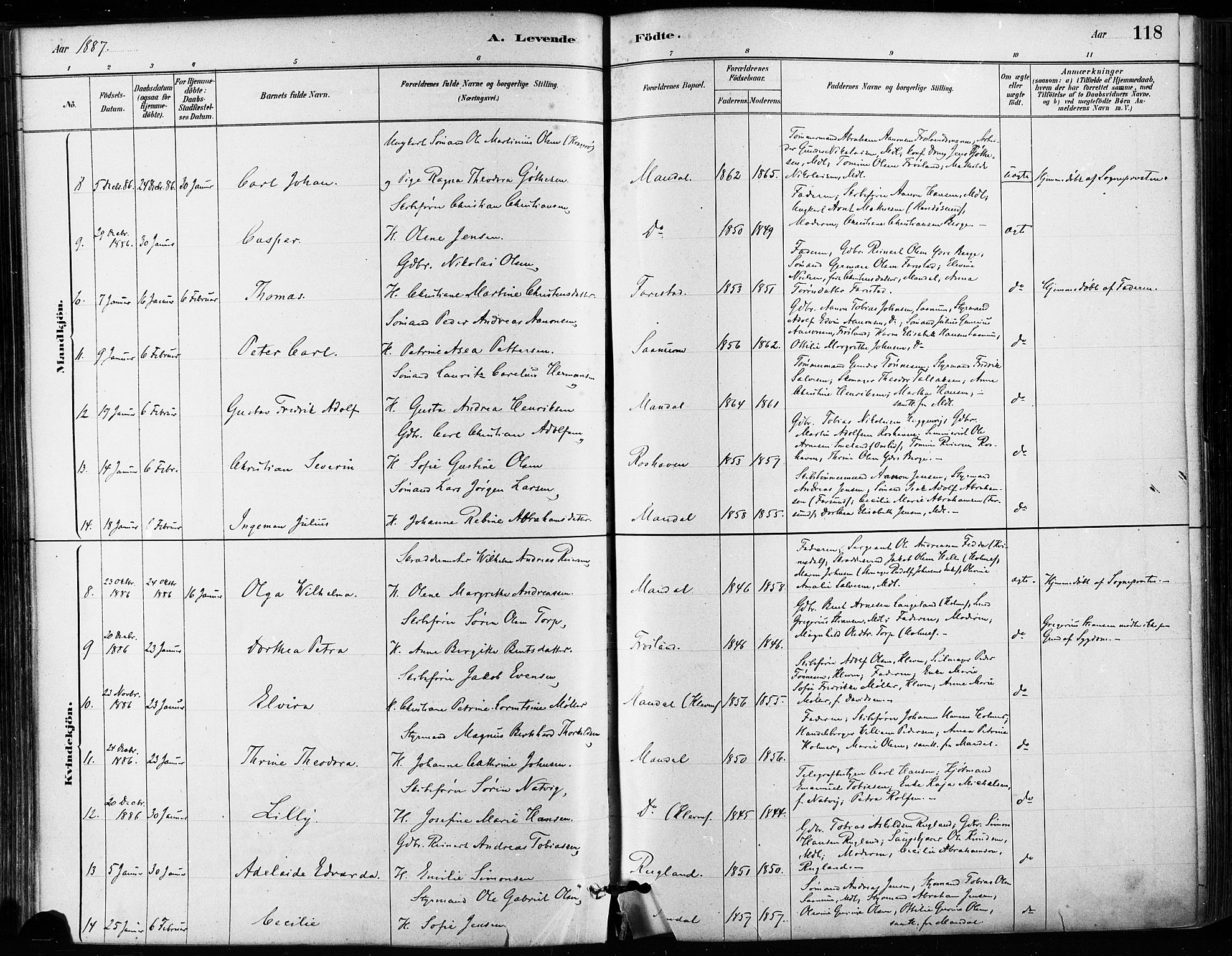 Mandal sokneprestkontor, AV/SAK-1111-0030/F/Fa/Faa/L0016: Parish register (official) no. A 16, 1880-1890, p. 118