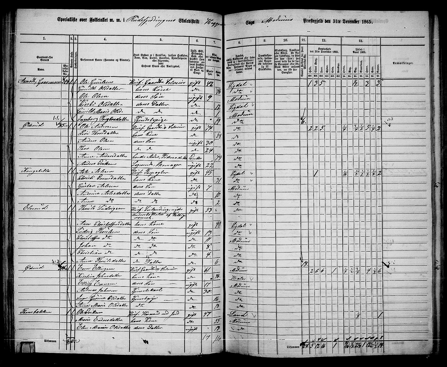 RA, 1865 census for Modum, 1865, p. 115