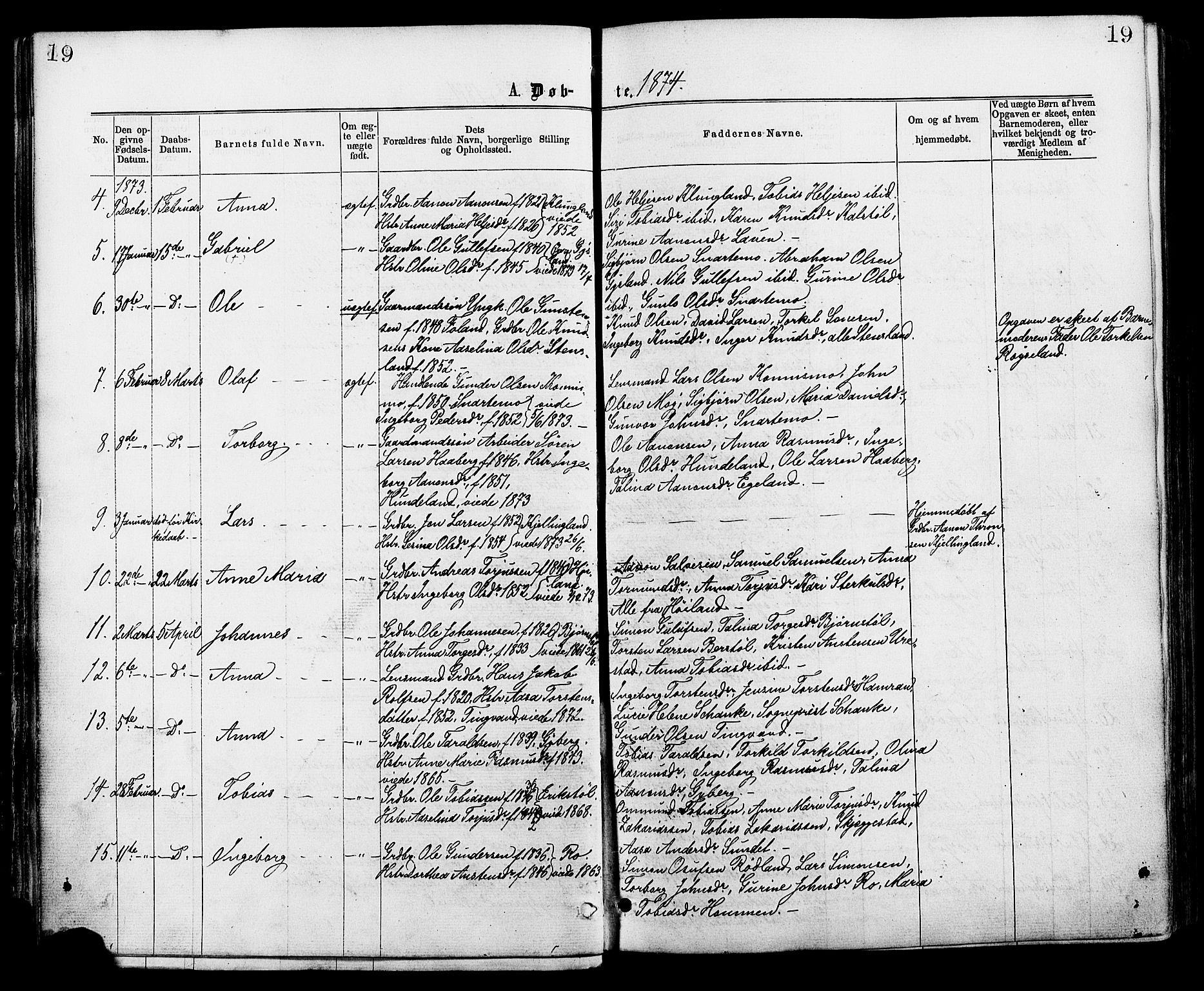 Hægebostad sokneprestkontor, AV/SAK-1111-0024/F/Fa/Faa/L0005: Parish register (official) no. A 5, 1864-1886, p. 19