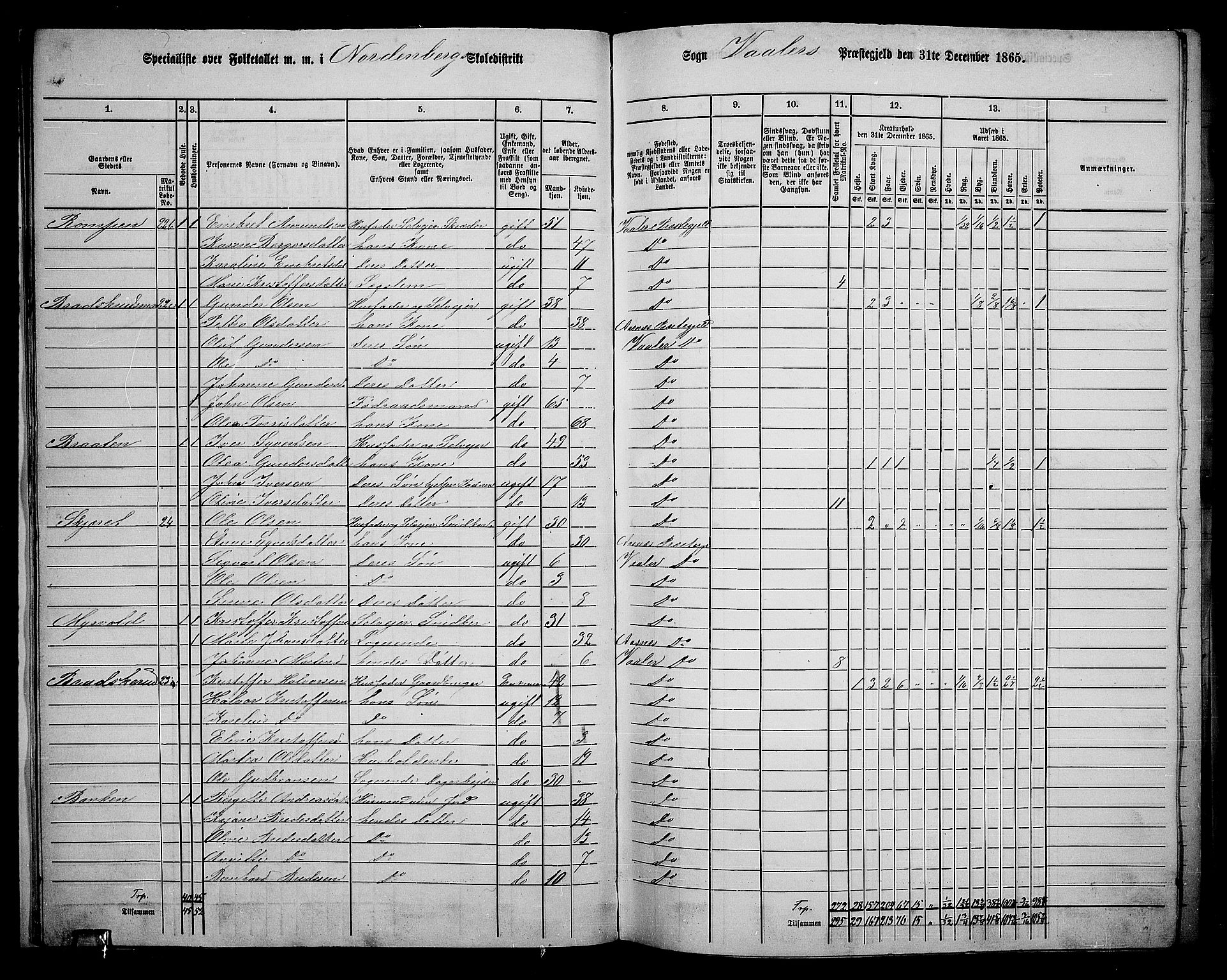 RA, 1865 census for Våler, 1865, p. 20