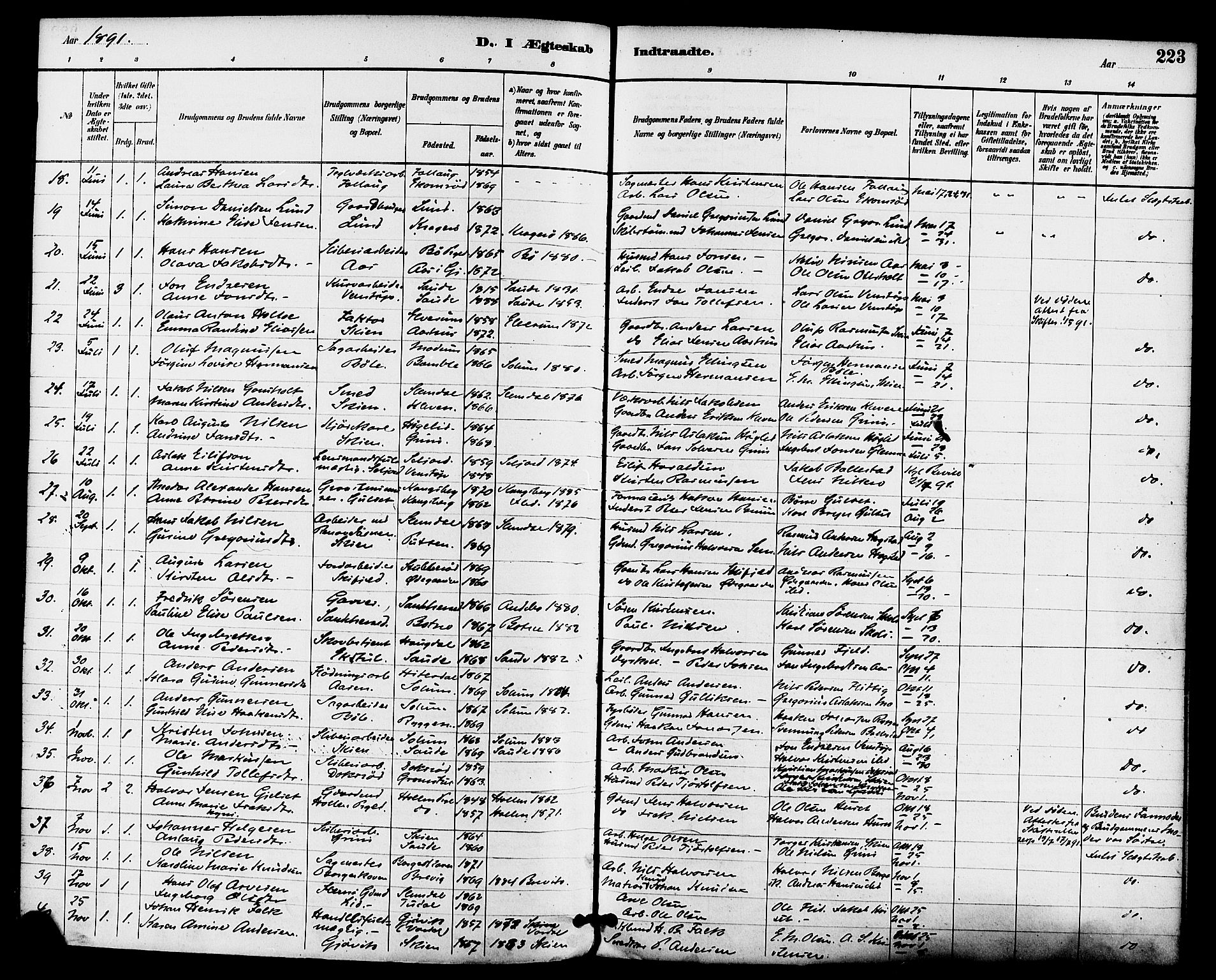 Gjerpen kirkebøker, SAKO/A-265/F/Fa/L0010: Parish register (official) no. I 10, 1886-1895, p. 223