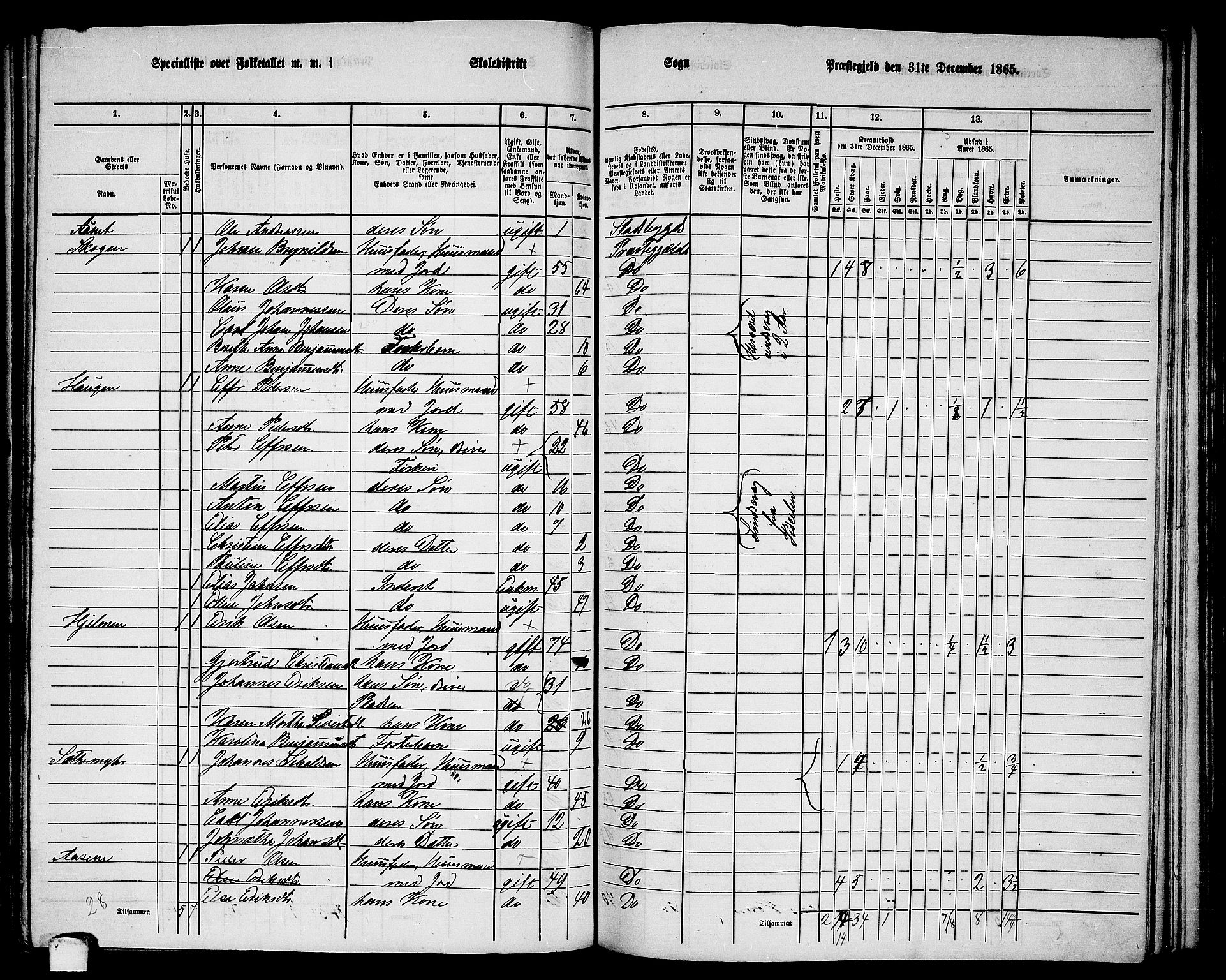 RA, 1865 census for Stadsbygd, 1865, p. 133