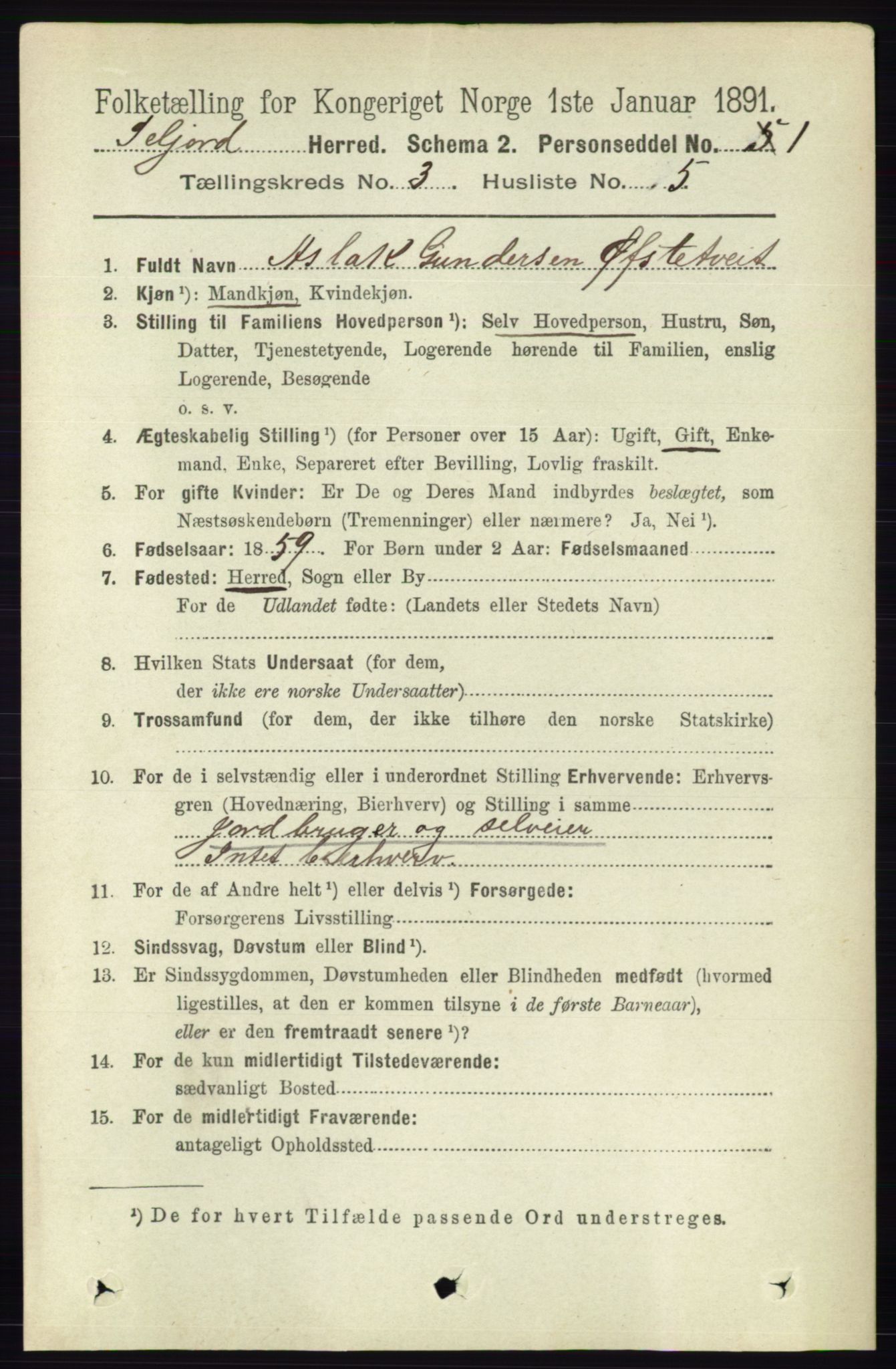 RA, 1891 census for 0828 Seljord, 1891, p. 998