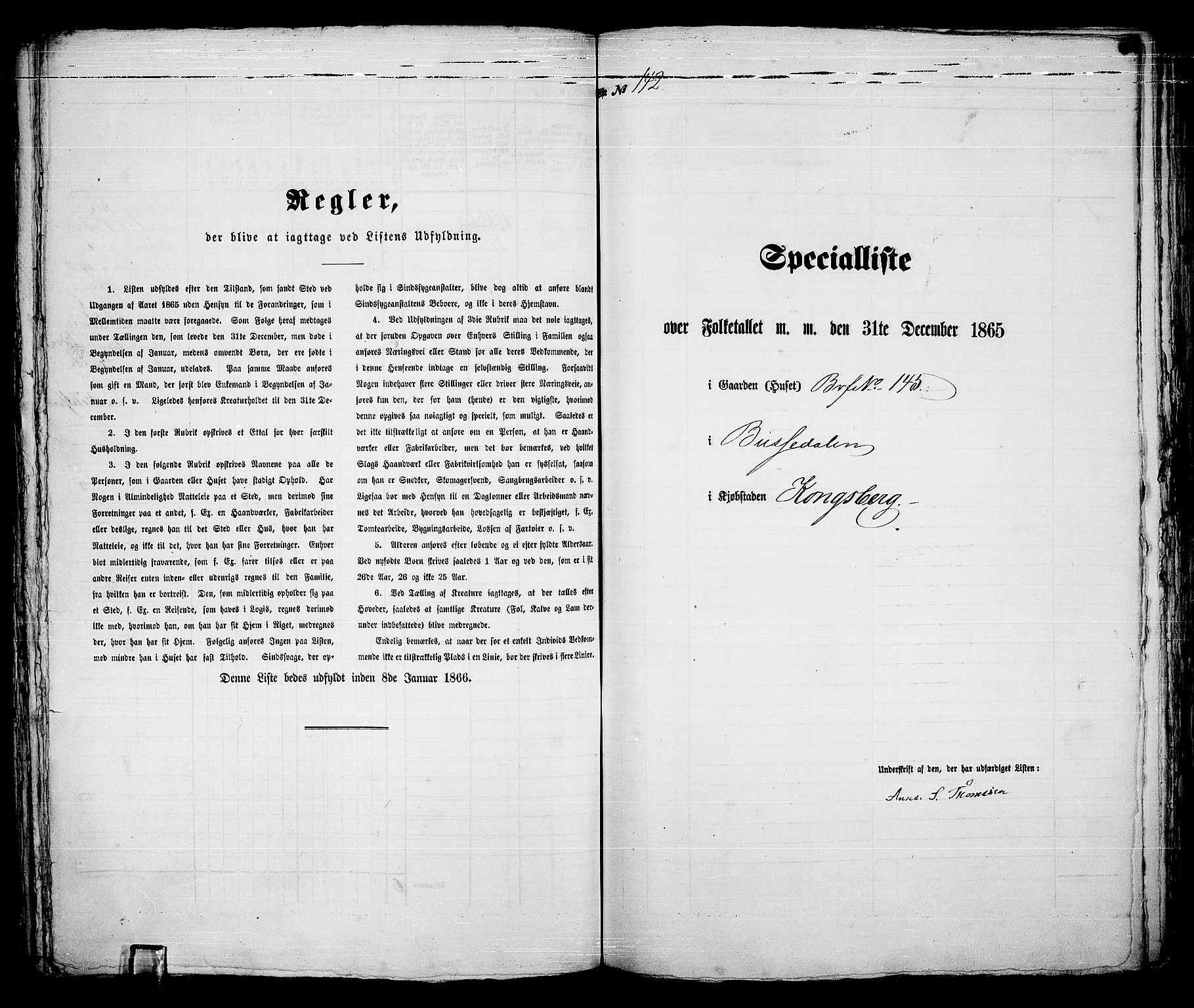 RA, 1865 census for Kongsberg/Kongsberg, 1865, p. 294