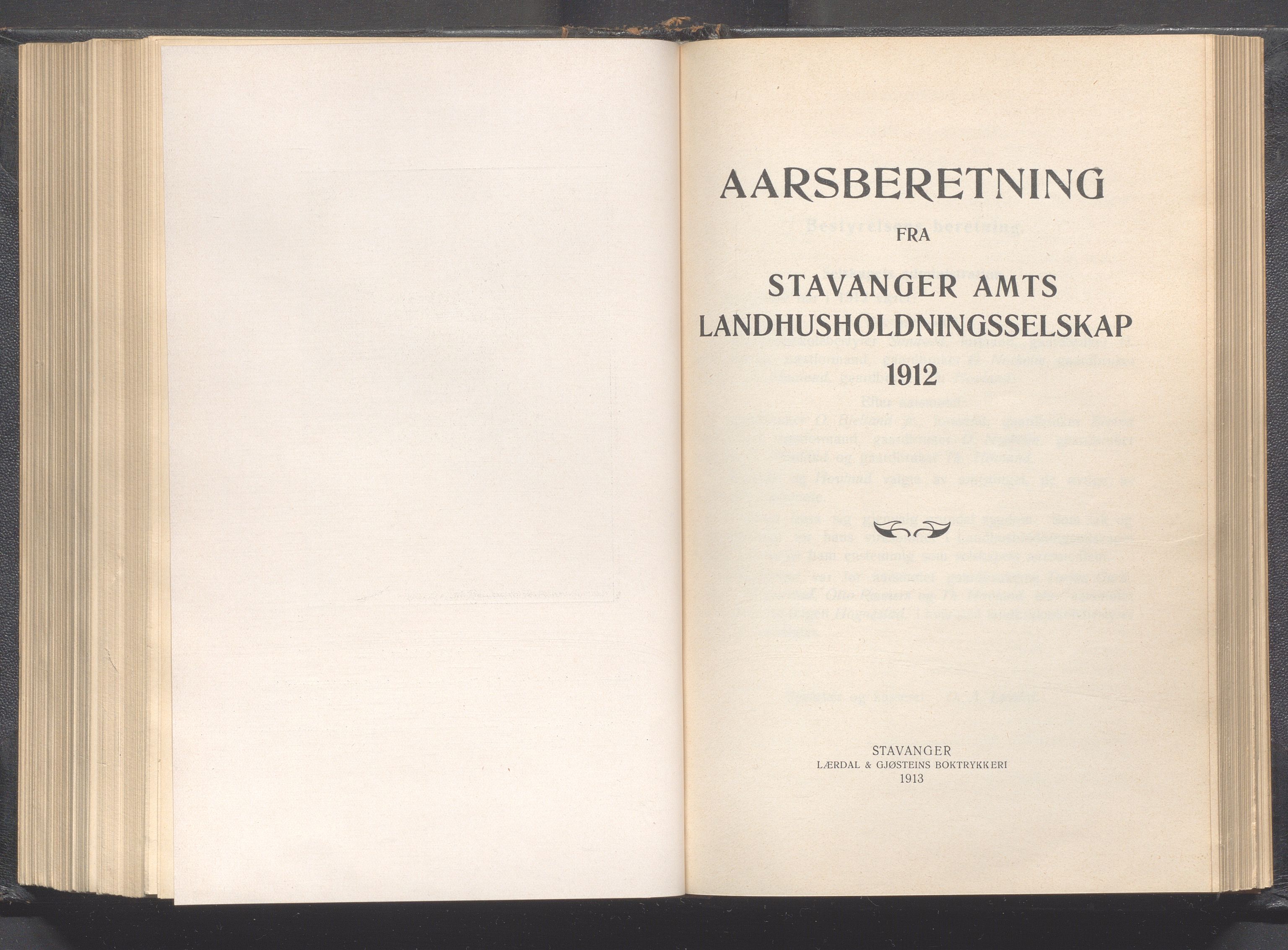 Rogaland fylkeskommune - Fylkesrådmannen , IKAR/A-900/A, 1913, p. 318