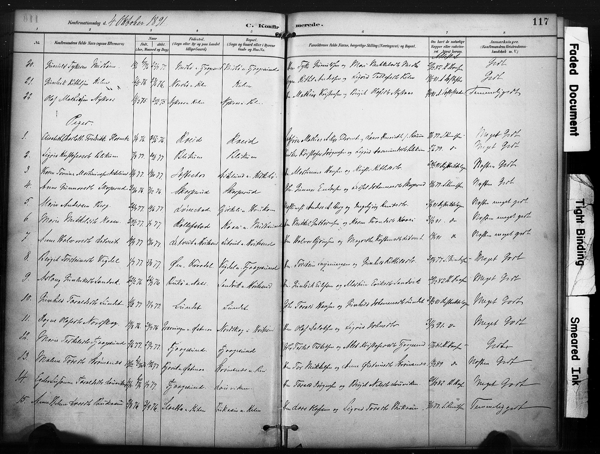 Kviteseid kirkebøker, SAKO/A-276/F/Fa/L0008: Parish register (official) no. I 8, 1882-1903, p. 117