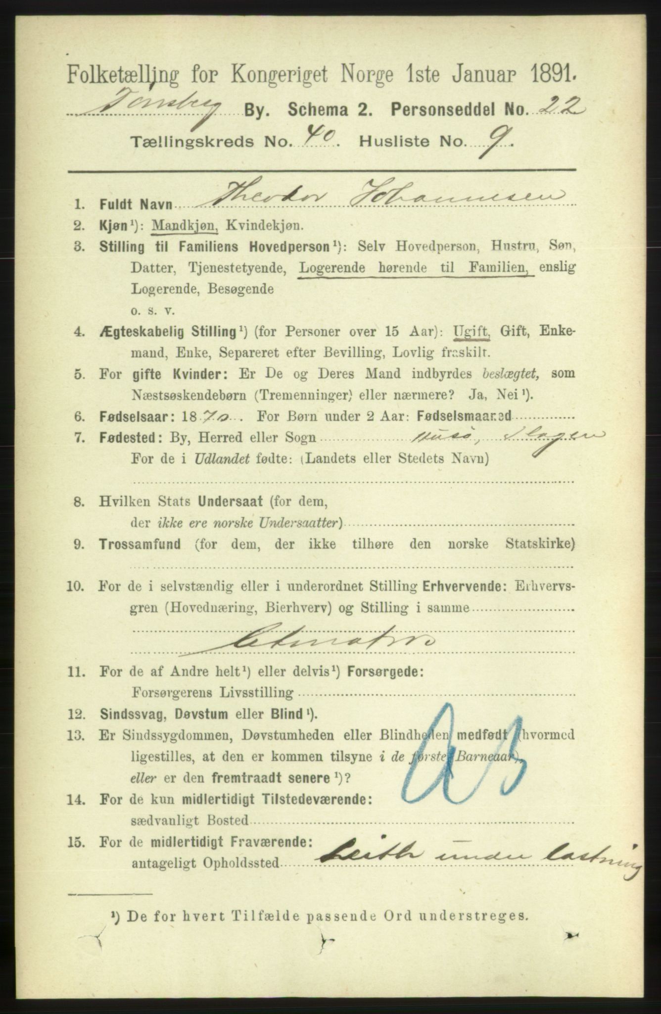 RA, 1891 census for 0705 Tønsberg, 1891, p. 8743