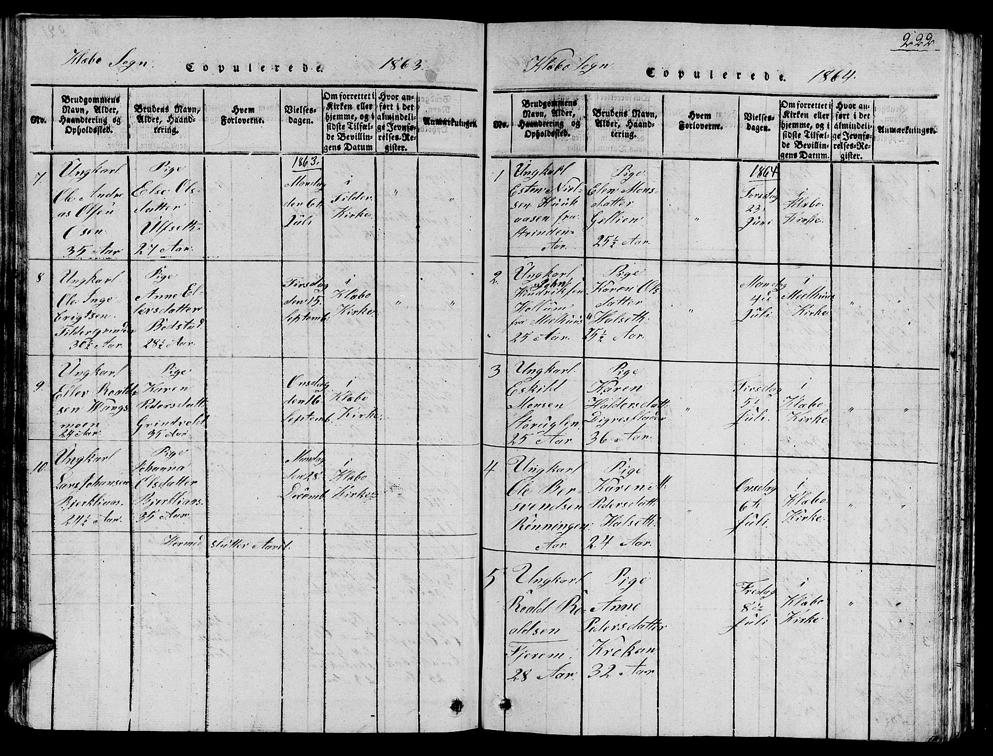 Ministerialprotokoller, klokkerbøker og fødselsregistre - Sør-Trøndelag, SAT/A-1456/618/L0450: Parish register (copy) no. 618C01, 1816-1865, p. 222