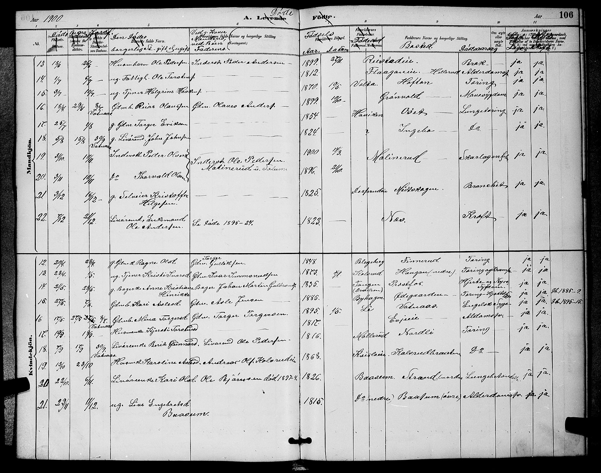 Sigdal kirkebøker, AV/SAKO-A-245/G/Ga/L0005: Parish register (copy) no. I 5, 1886-1900, p. 106