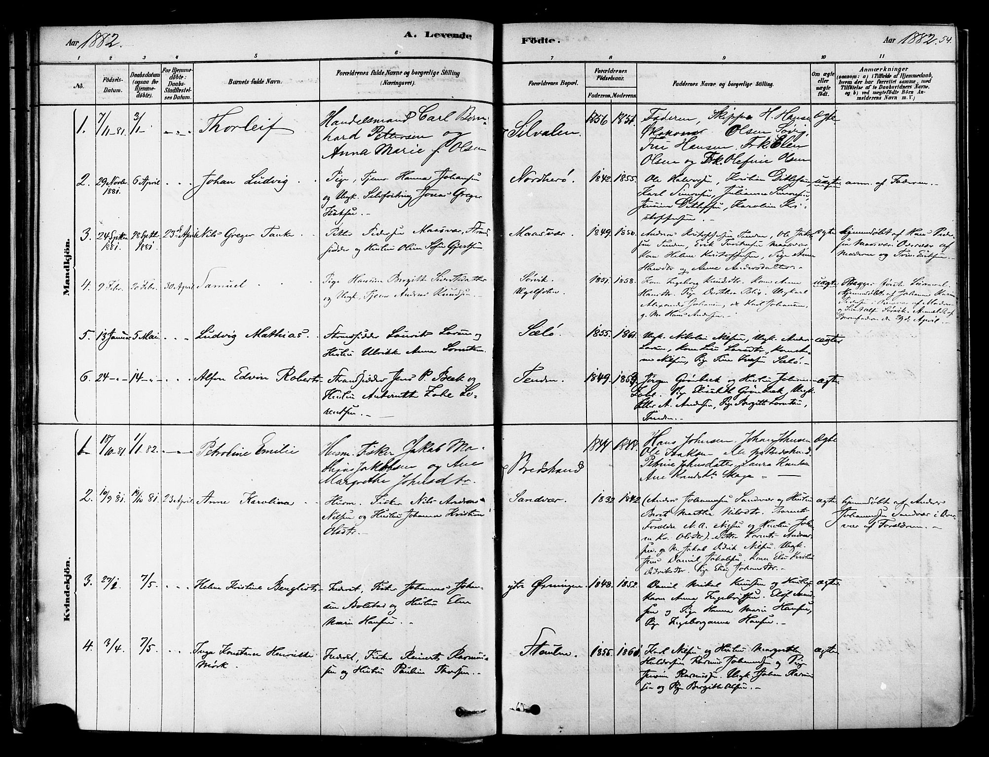 Ministerialprotokoller, klokkerbøker og fødselsregistre - Nordland, AV/SAT-A-1459/834/L0507: Parish register (official) no. 834A05, 1878-1892, p. 54