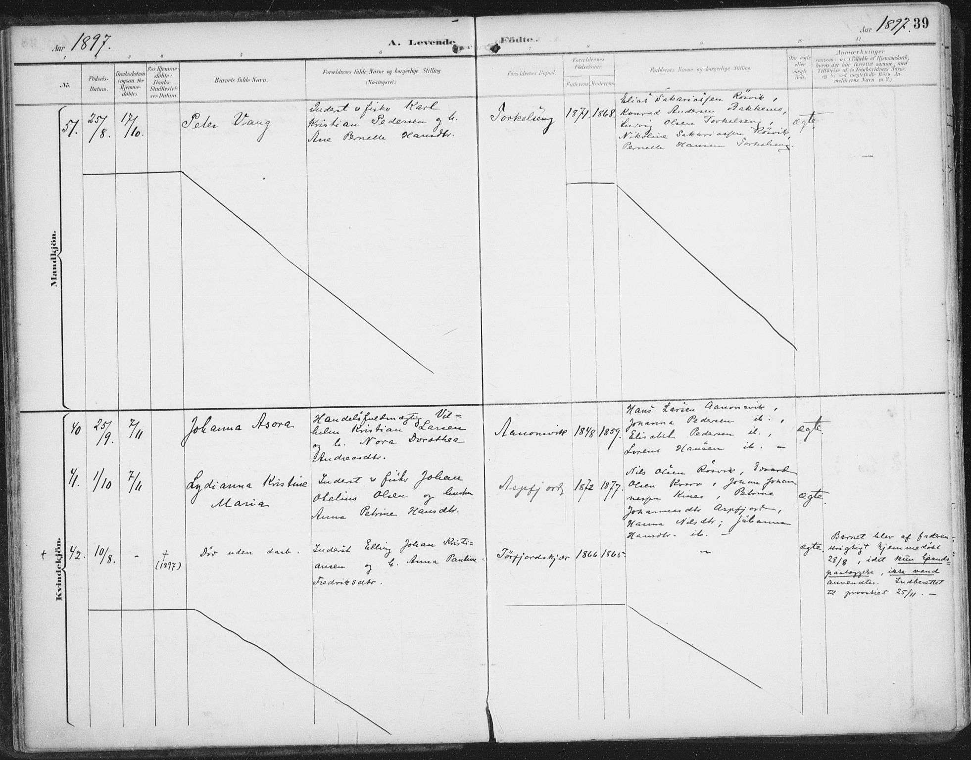 Ministerialprotokoller, klokkerbøker og fødselsregistre - Nordland, AV/SAT-A-1459/854/L0779: Parish register (official) no. 854A02, 1892-1909, p. 39