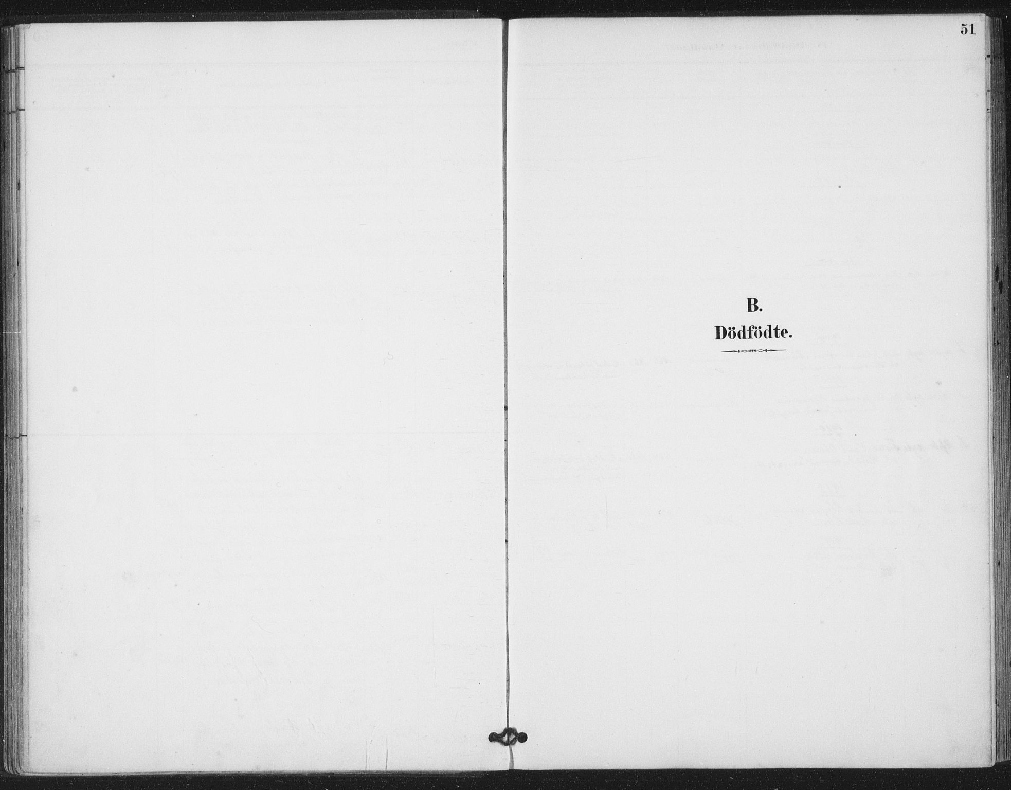 Ministerialprotokoller, klokkerbøker og fødselsregistre - Nord-Trøndelag, SAT/A-1458/783/L0660: Parish register (official) no. 783A02, 1886-1918, p. 51