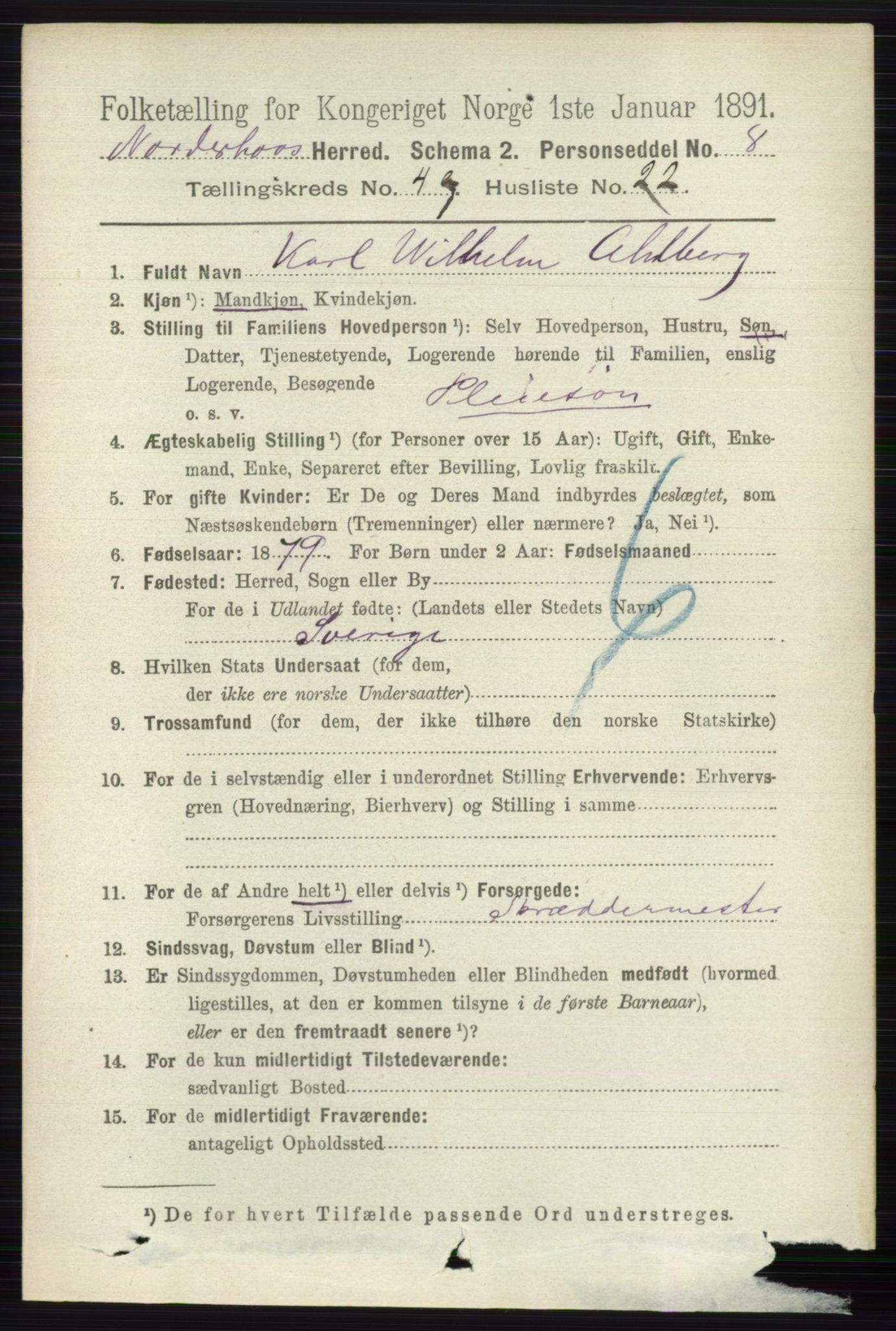 RA, 1891 census for 0613 Norderhov, 1891, p. 1868